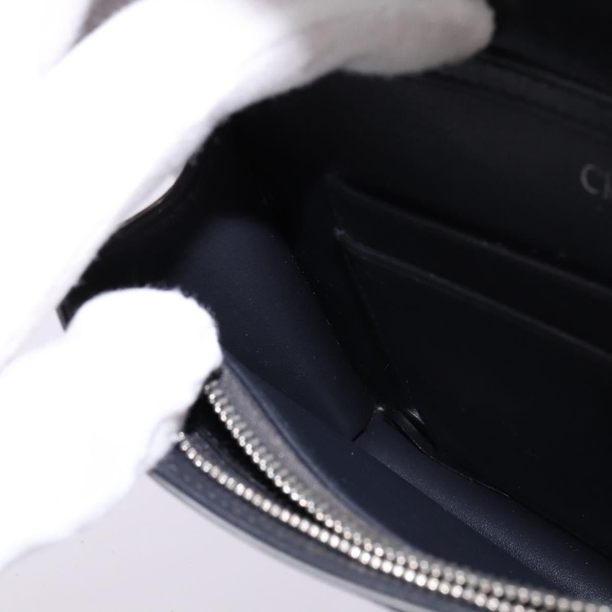 Dior Christian Dior Diorama Wallet on Chain Metallic Distressed Calfskin Size ONE SIZE - 20 Thumbnail