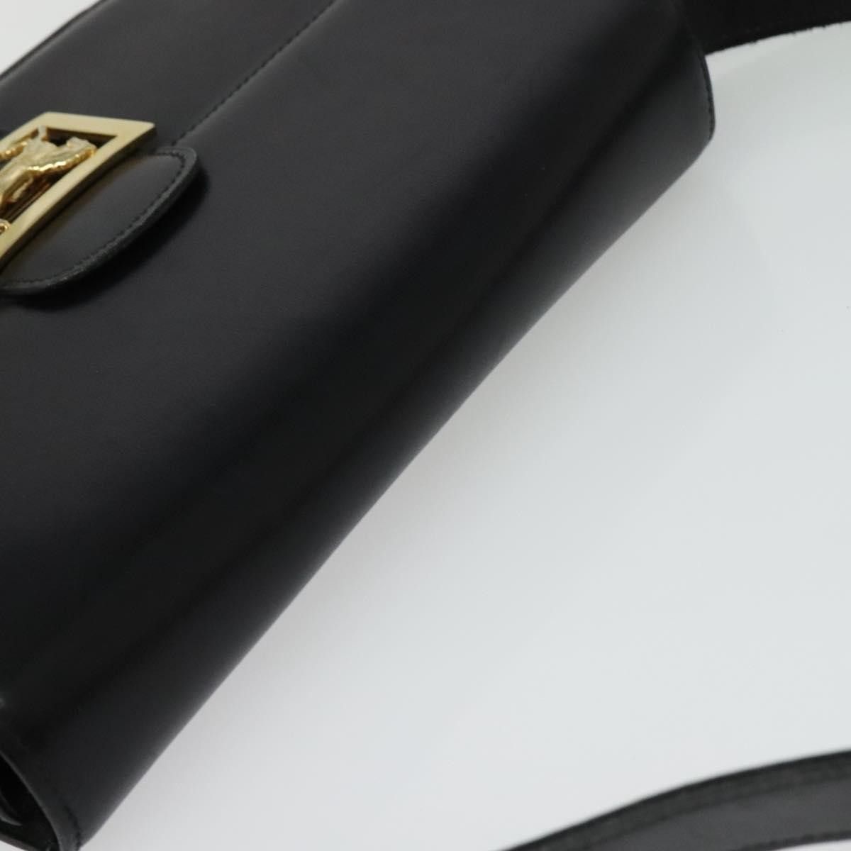 Celine Celine Horse Carriage Shoulder bag Leather Size ONE SIZE - 15 Thumbnail