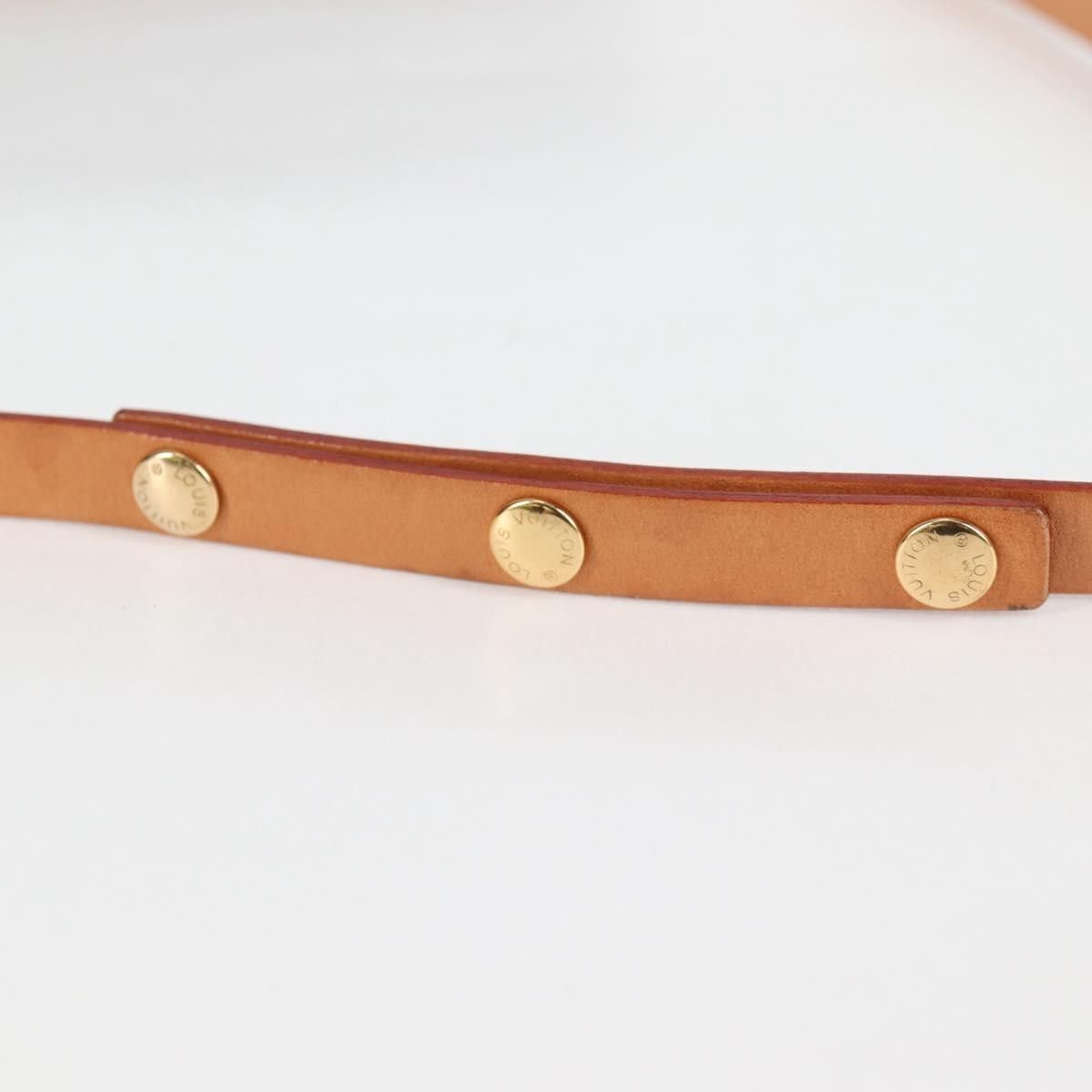 Louis Vuitton Louis Vuitton Florentine Waist Bag Monogram Canvas Size ONE SIZE - 17 Thumbnail