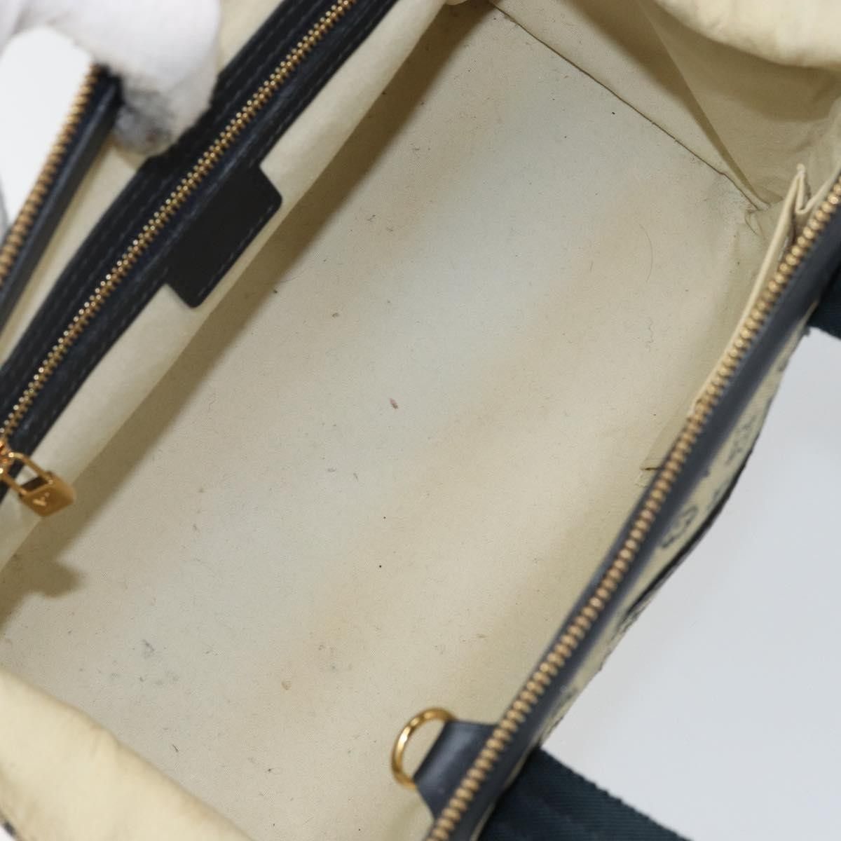 Louis Vuitton Louis Vuitton Josephine Handbag Mini Lin Size ONE SIZE - 5 Thumbnail