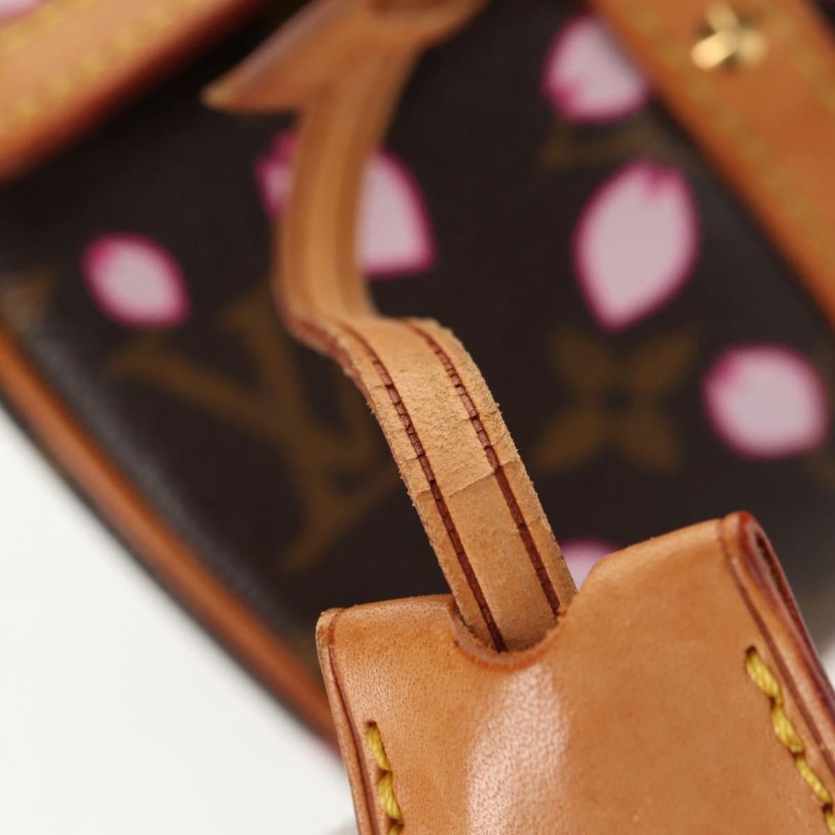 Louis Vuitton Louis Vuitton Papillon Handbag Limited Edition Cherry Blossom Monogram Size ONE SIZE - 15 Thumbnail