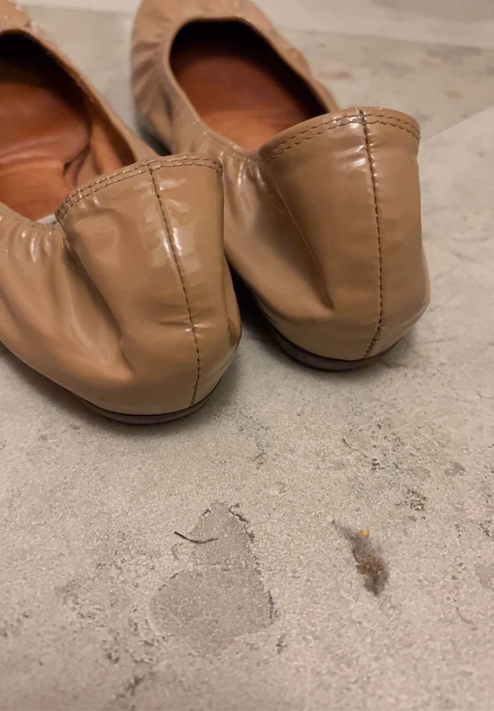 Lanvin Lanvin Ballet Flats Size US 9 / IT 39 - 9 Thumbnail