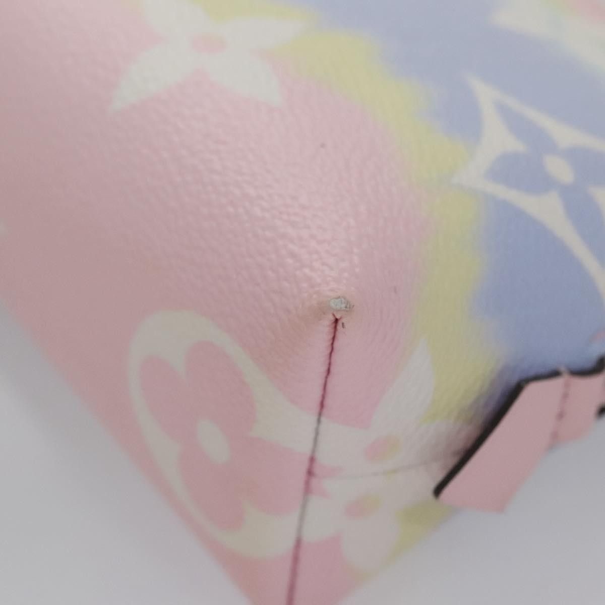 Louis Vuitton Louis Vuitton Cosmetic Pouch Spring in the City Monogram Giant Canvas Size ONE SIZE - 10 Thumbnail