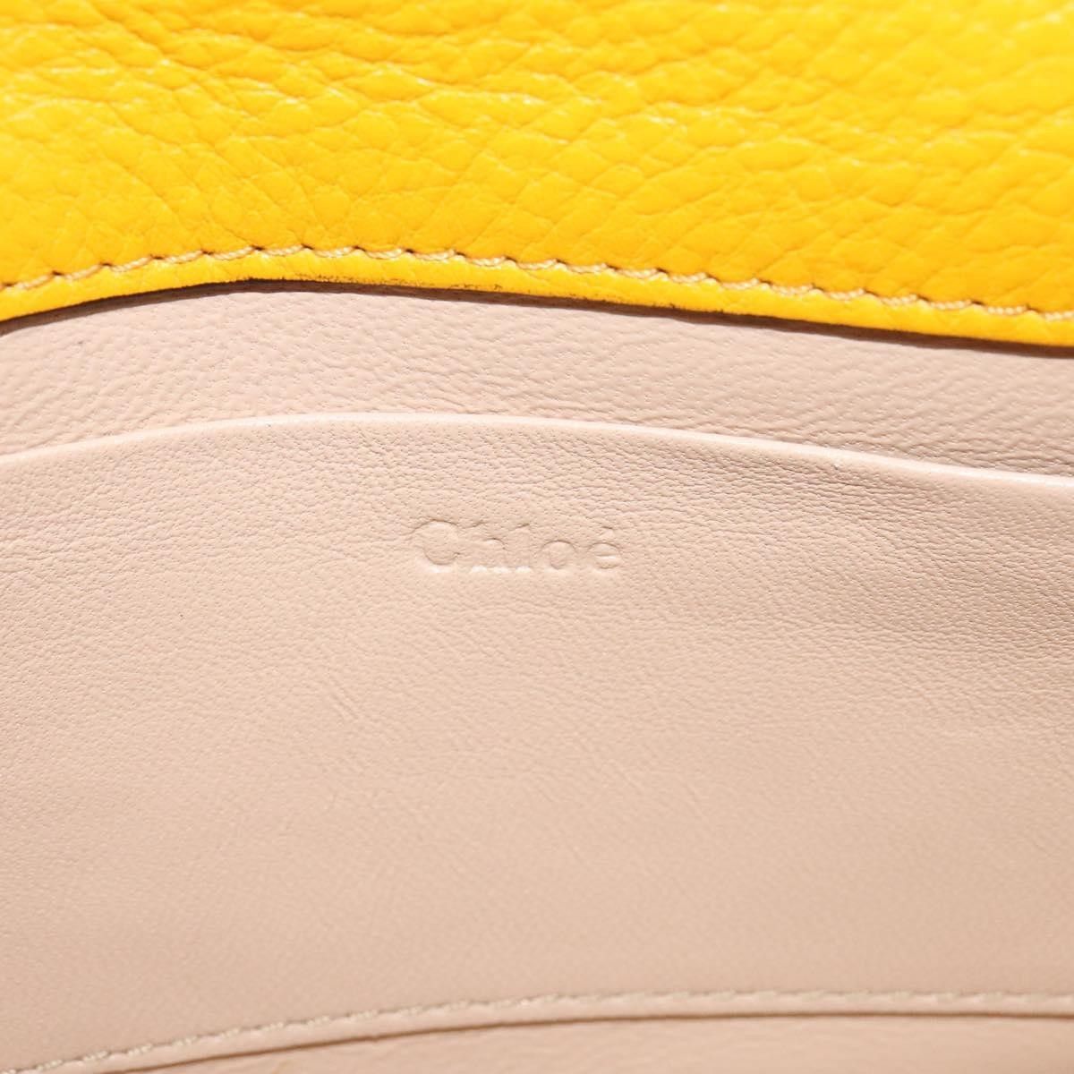 Chloe Chloe Nile Minaudière Leather Size ONE SIZE - 6 Thumbnail