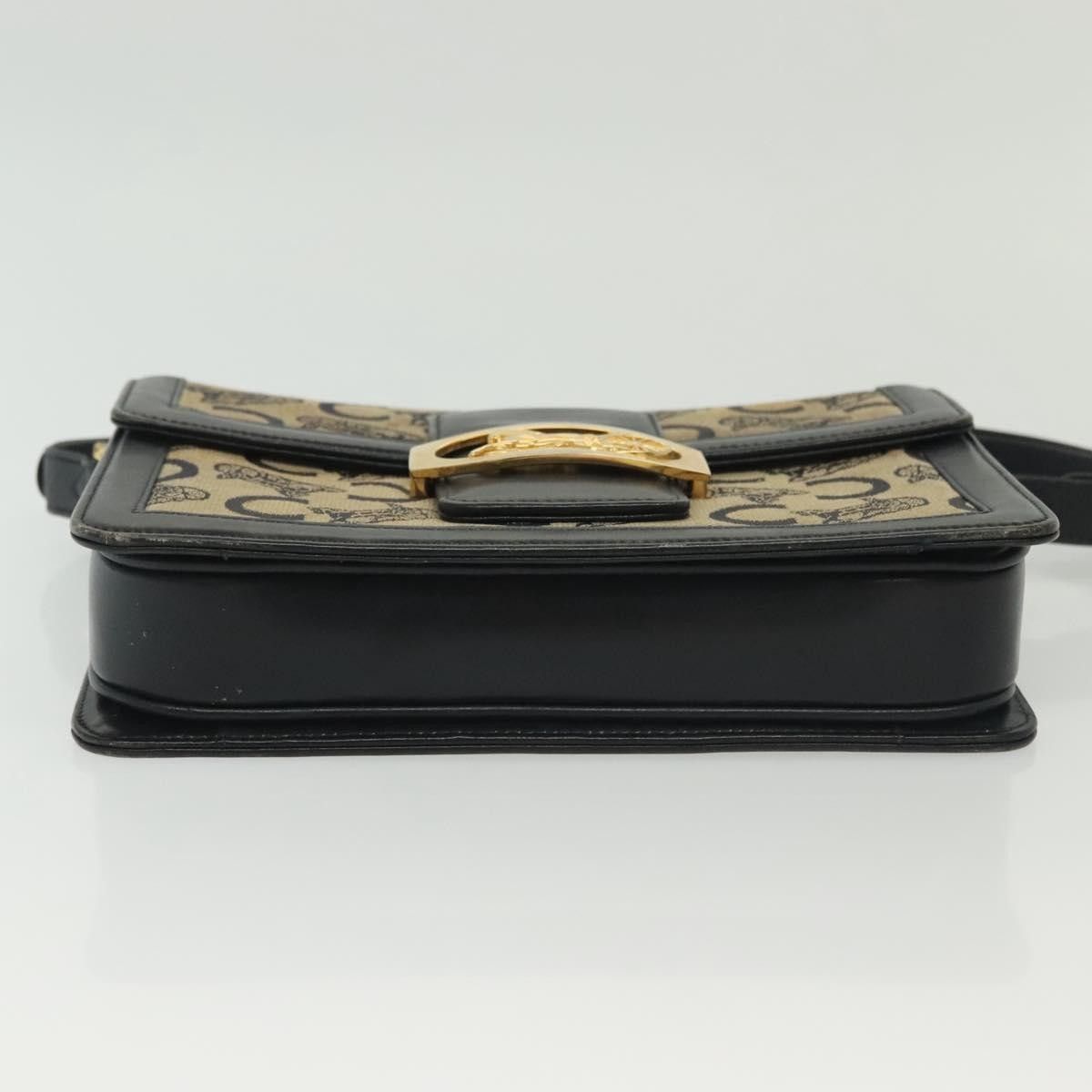 Celine Celine Horse Carriage Shoulder bag Macadam Canvas and leather Size ONE SIZE - 16 Thumbnail