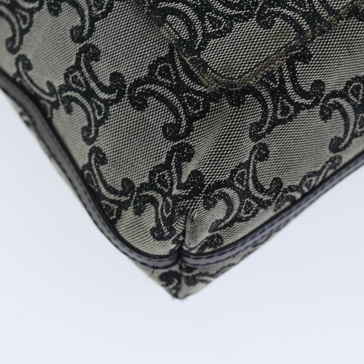 Celine Celine Vintage Triomphe Shoulder Bag Canvas Size ONE SIZE - 11 Thumbnail