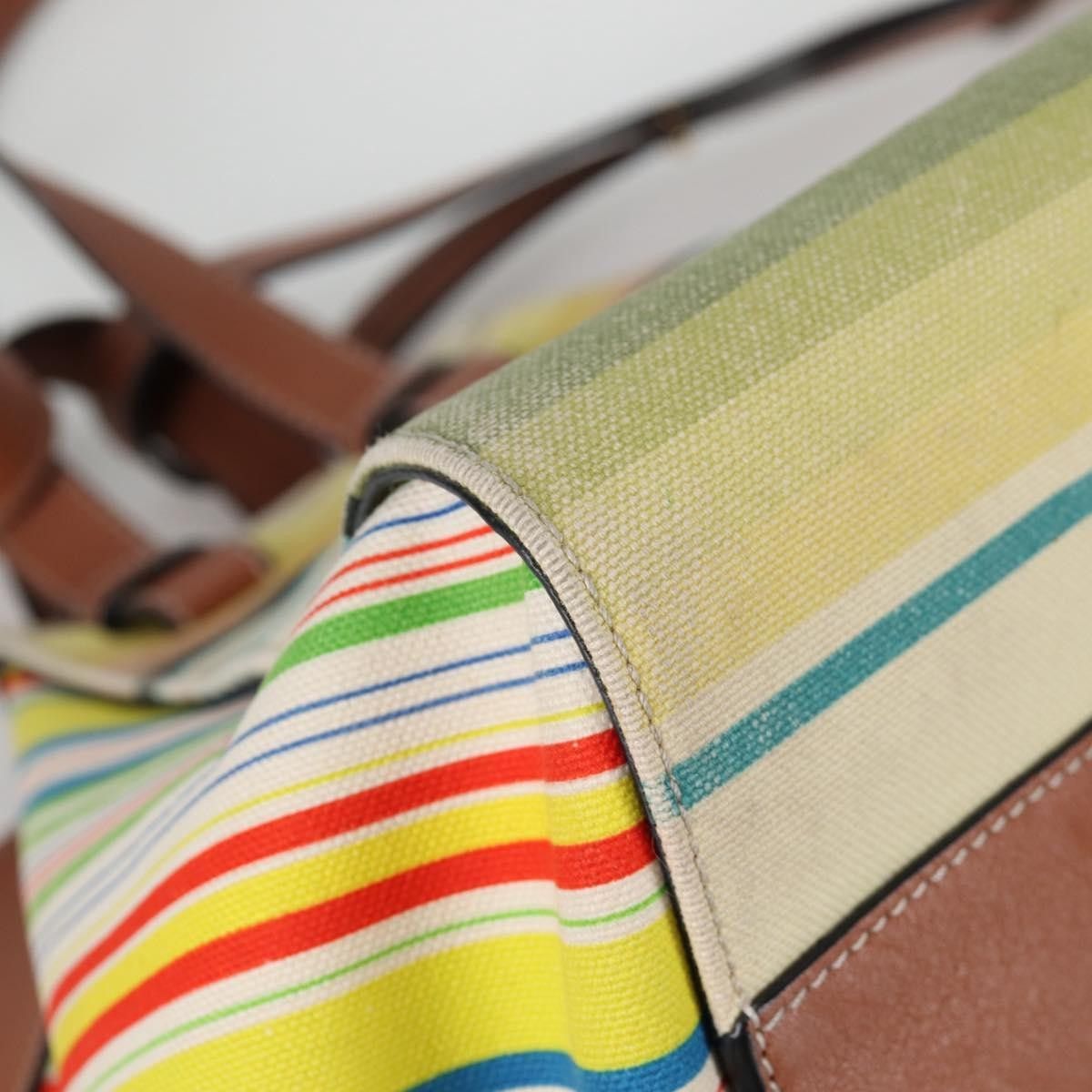 Loewe Loewe Hammock Bag Printed Canvas Size ONE SIZE - 9 Thumbnail