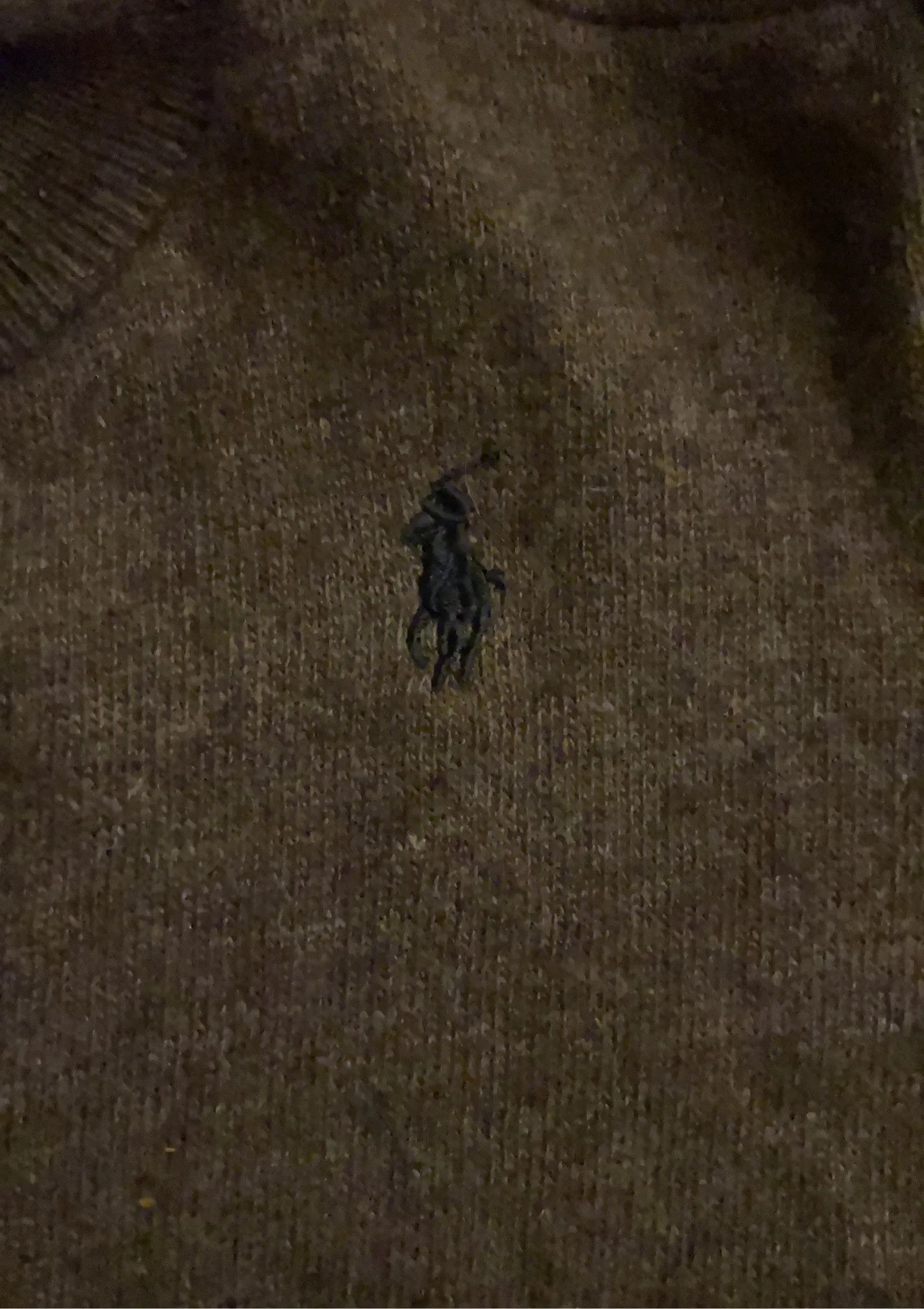 Ralph Lauren Ralph Lauren Ralph lauren knitwear Polo knit Size S / US 4 / IT 40 - 2 Thumbnail
