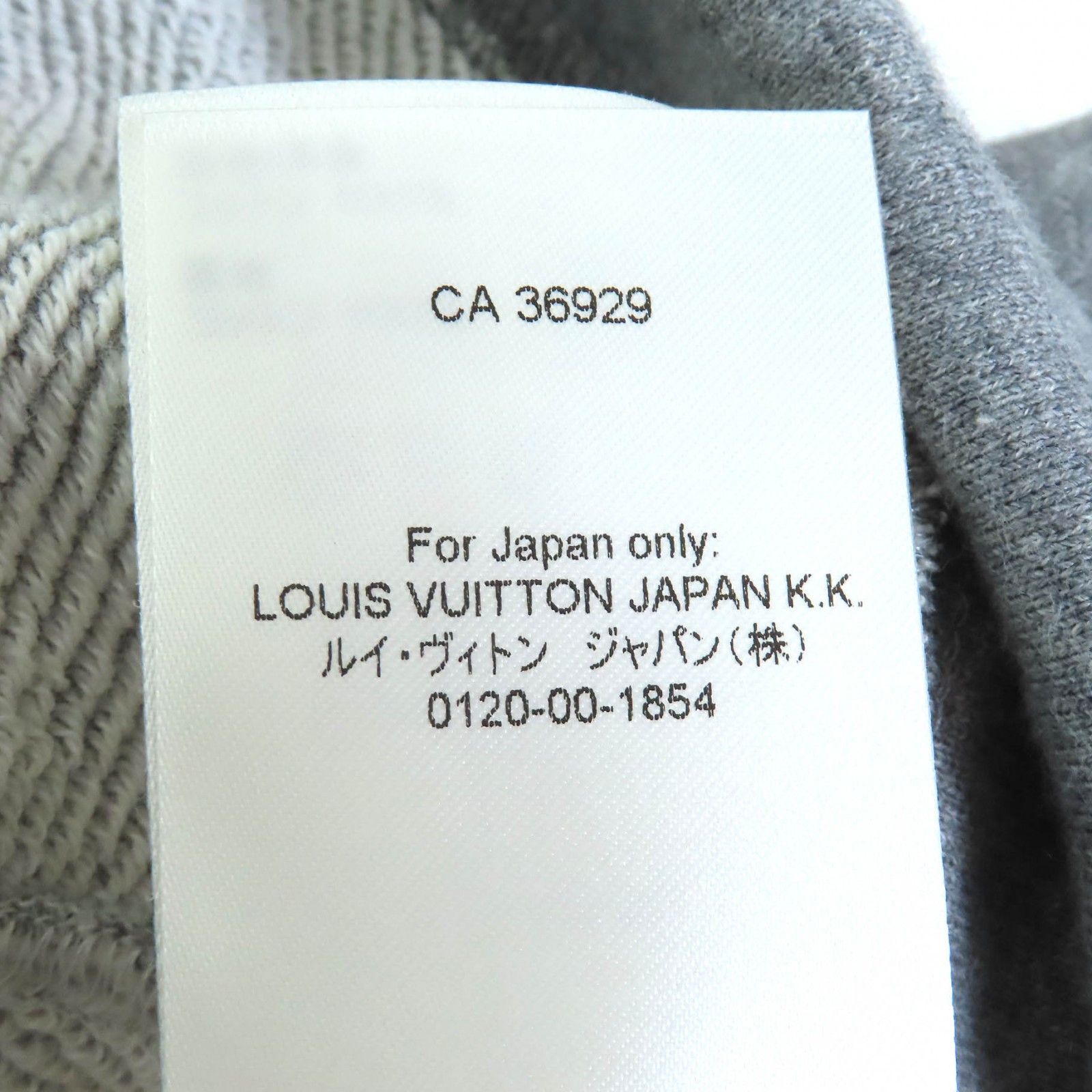 Louis Vuitton Louis Vuitton Louis Vuitton LV Flight Mode Cropped Hoodie Hoodie Cotton Sweatshirts & Hoodies 1AAOLZ DUTY FREE for USA Size ONE SIZE - 12 Thumbnail