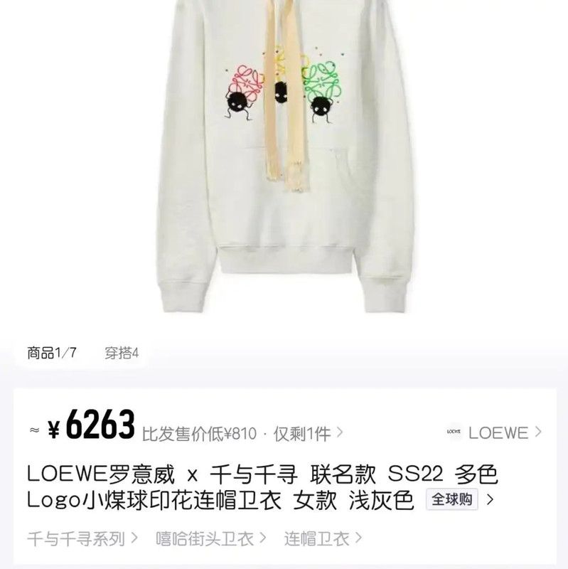 Loewe Loewe Gray Cotton Women's Hoodie 0089 Size L / US 10 / IT 46 - 6 Thumbnail