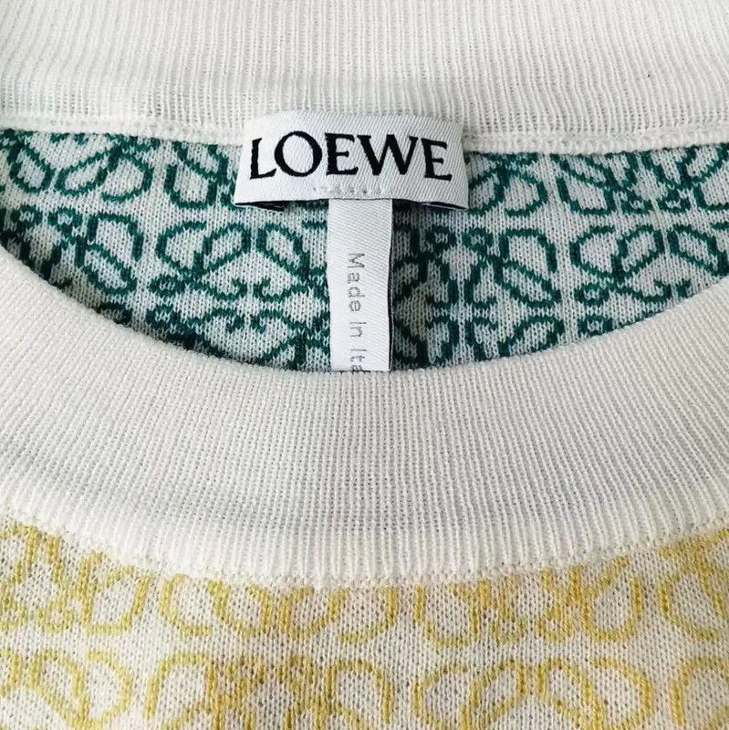 Loewe Loewe Multicolor Wool Knit Sweater for Women 0089 Size M / US 6-8 / IT 42-44 - 5 Thumbnail