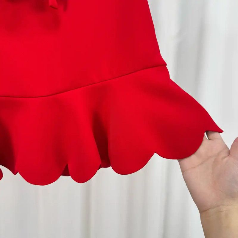 Miu Miu Miu Miu Red Silk Blend A-Line Skirt 0089 Size 42" / US 20 - 4 Thumbnail