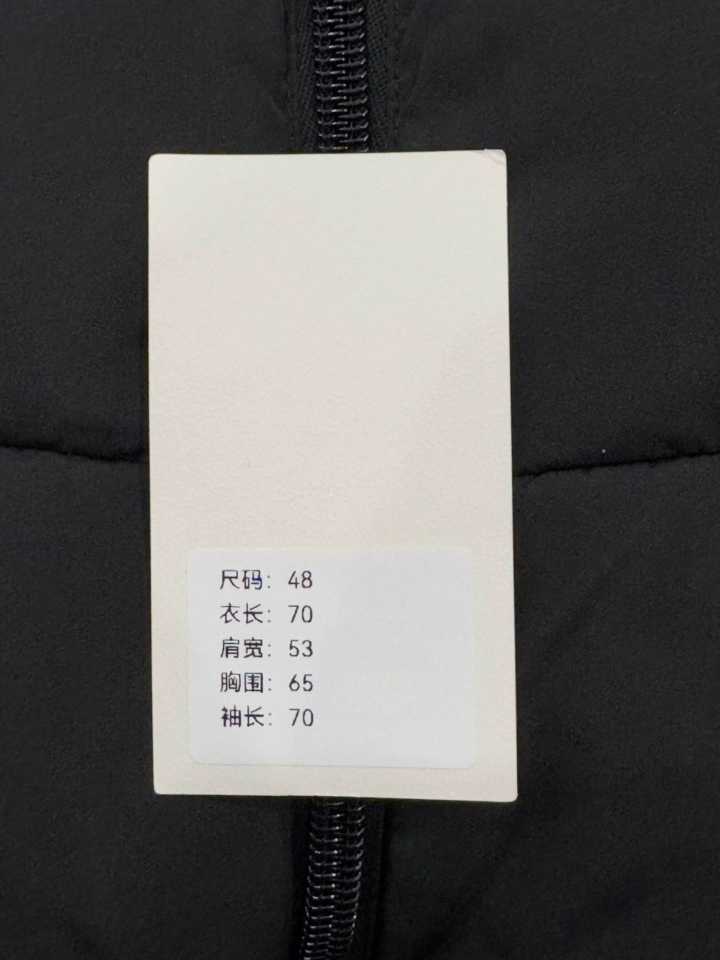 Balenciaga Balenciaga Logo Down Jacket 48 - dmc Size US L / EU 52-54 / 3 - 9 Thumbnail