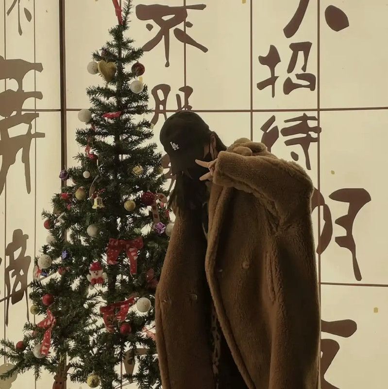 Max Mara MaxMara Brown Women's Coat in XS Size 0089 Size XS / US 0-2 / IT 36-38 - 8 Thumbnail