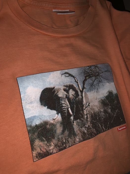 Supreme safari outlet tee