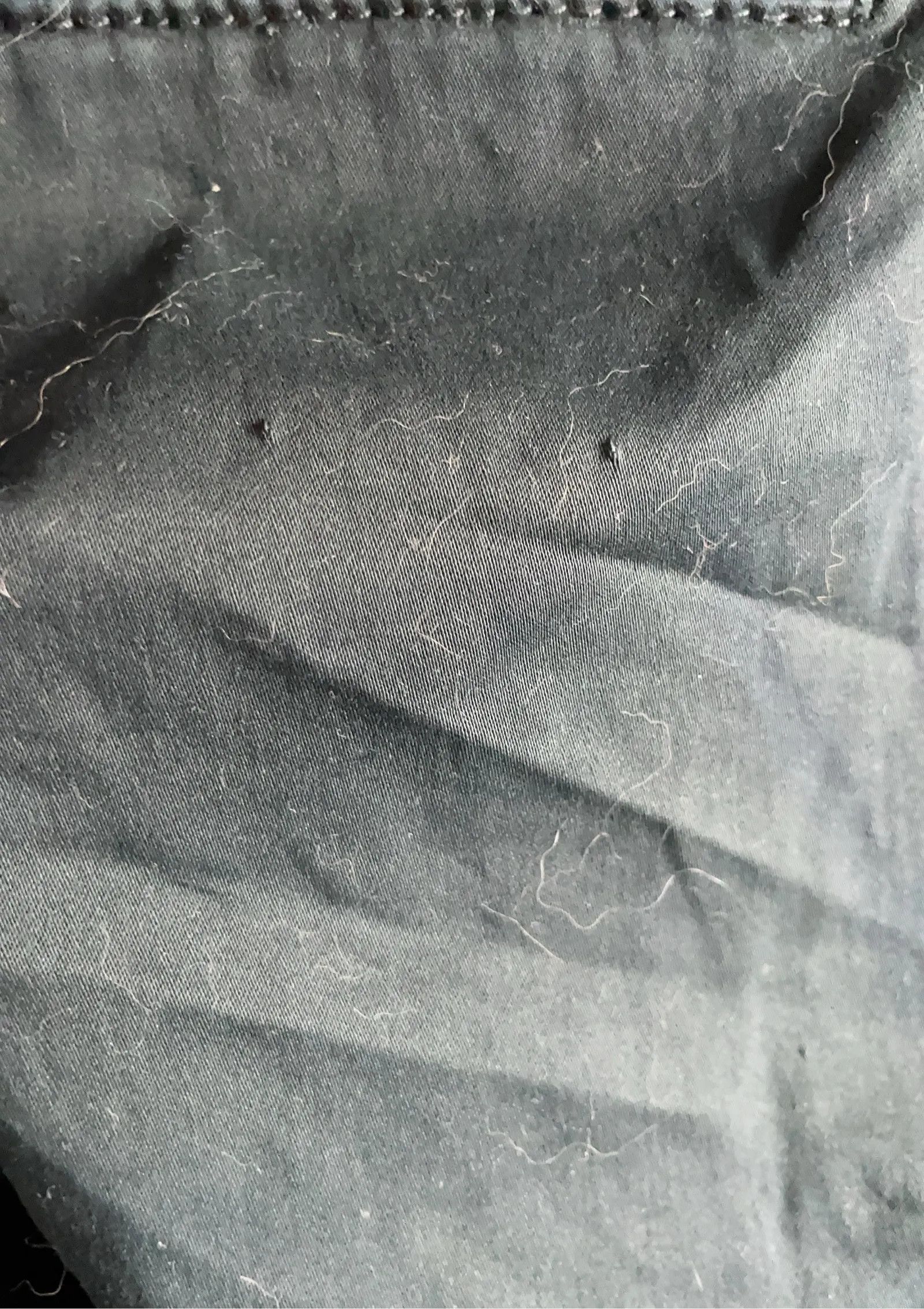 Morris Morris Osäker Pants Size 26" / US 2 / IT 38 - 3 Thumbnail