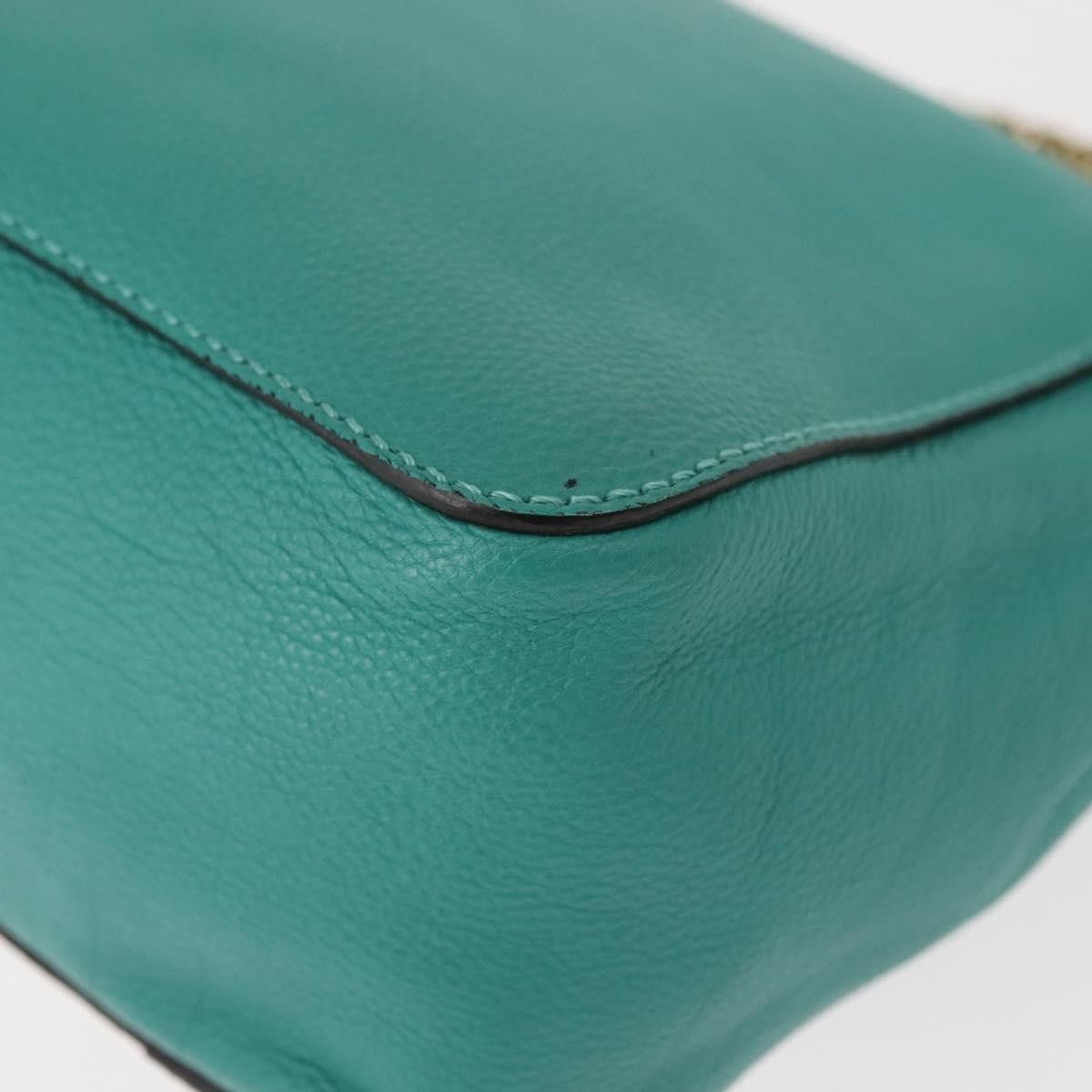Chloe Chloe Elsie Chain Shoulder Bag Leather Size ONE SIZE - 12 Thumbnail