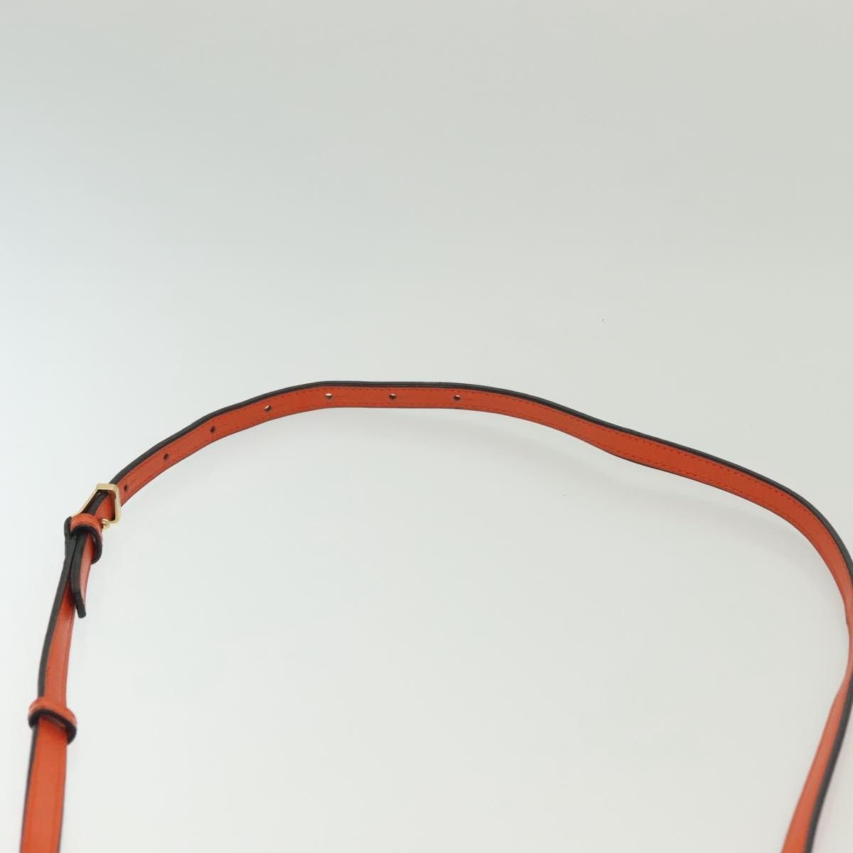 Loewe Loewe Barcelona Shoulder Bag Leather Size ONE SIZE - 21 Thumbnail