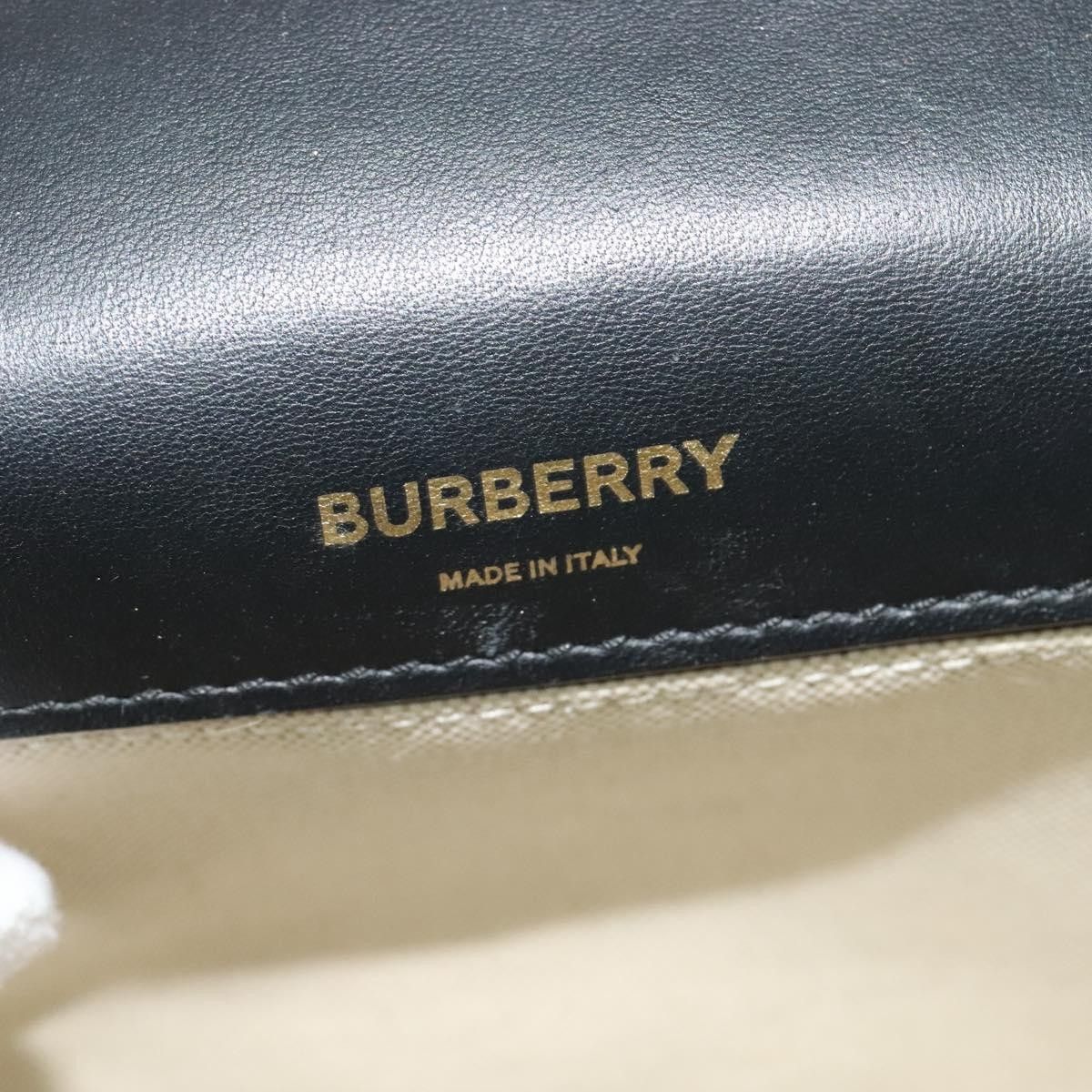 Burberry Burberry Lola Shoulder Bag Printed Raffia Size ONE SIZE - 6 Thumbnail