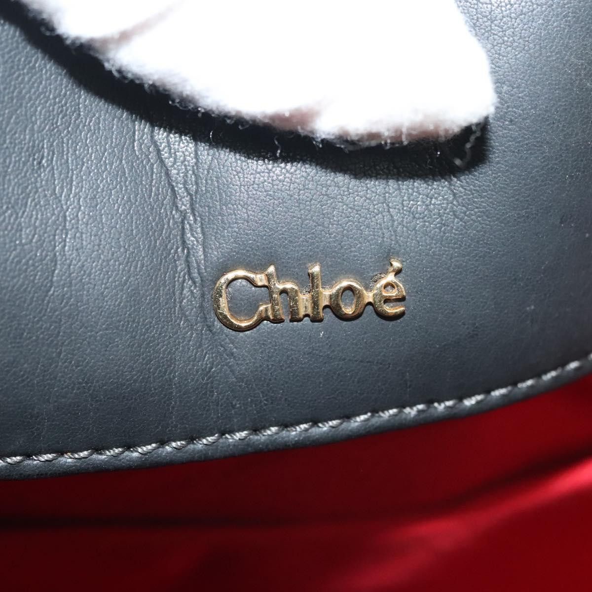 Chloe Chloe Vintage Shoulder Bag Leather Size ONE SIZE - 6 Thumbnail
