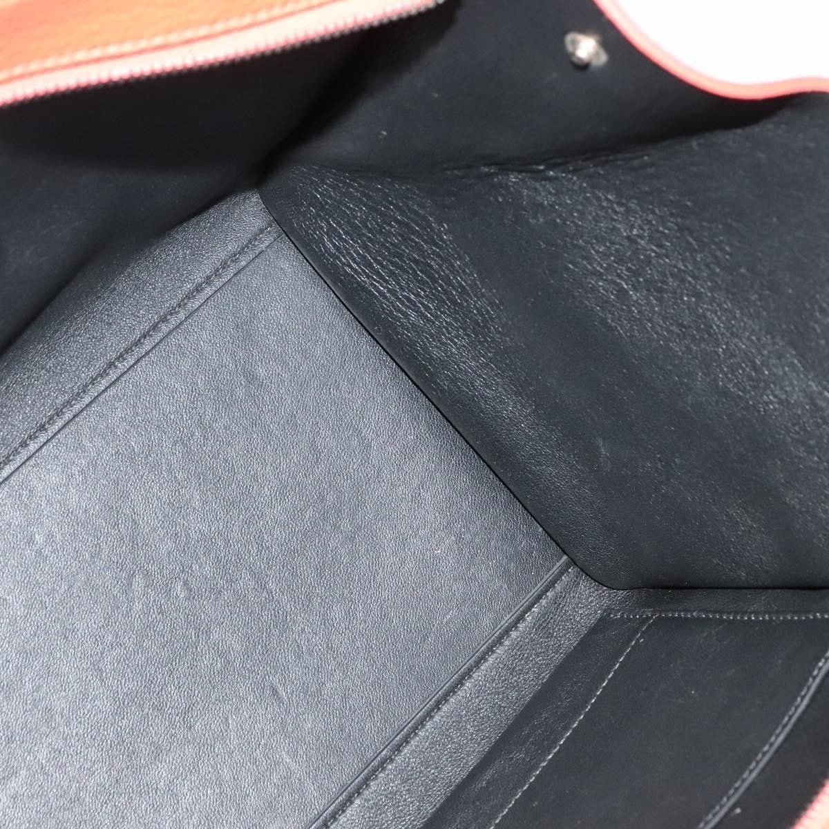 Celine Trapeze Bag Leather with Suede