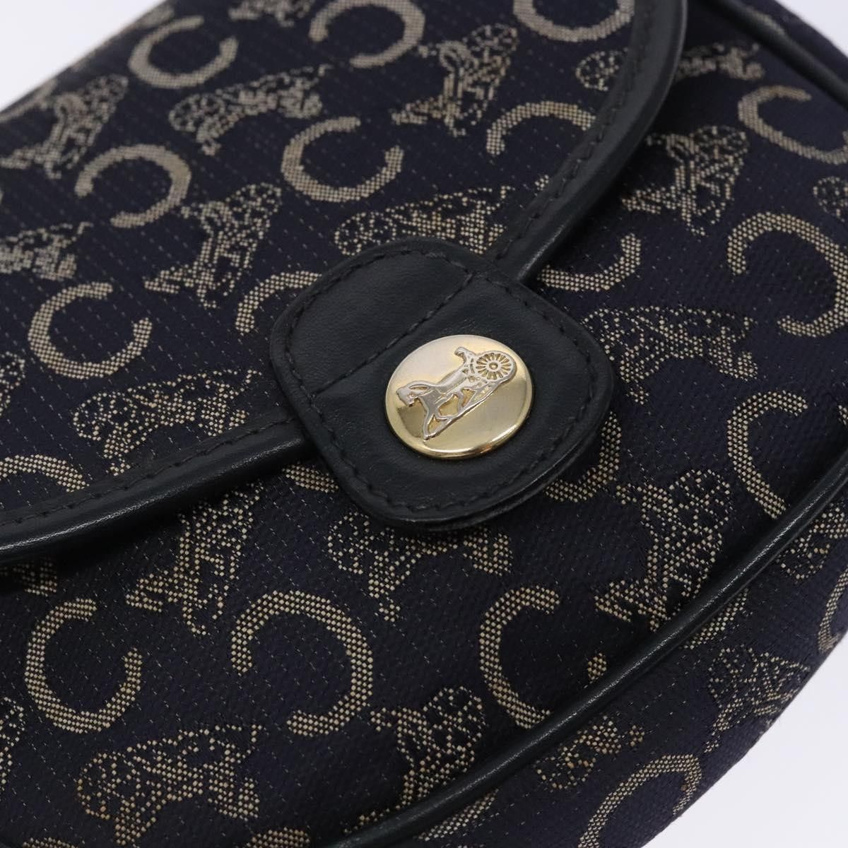 Celine Celine C Sulky Canvas and Leather Size ONE SIZE - 17 Thumbnail