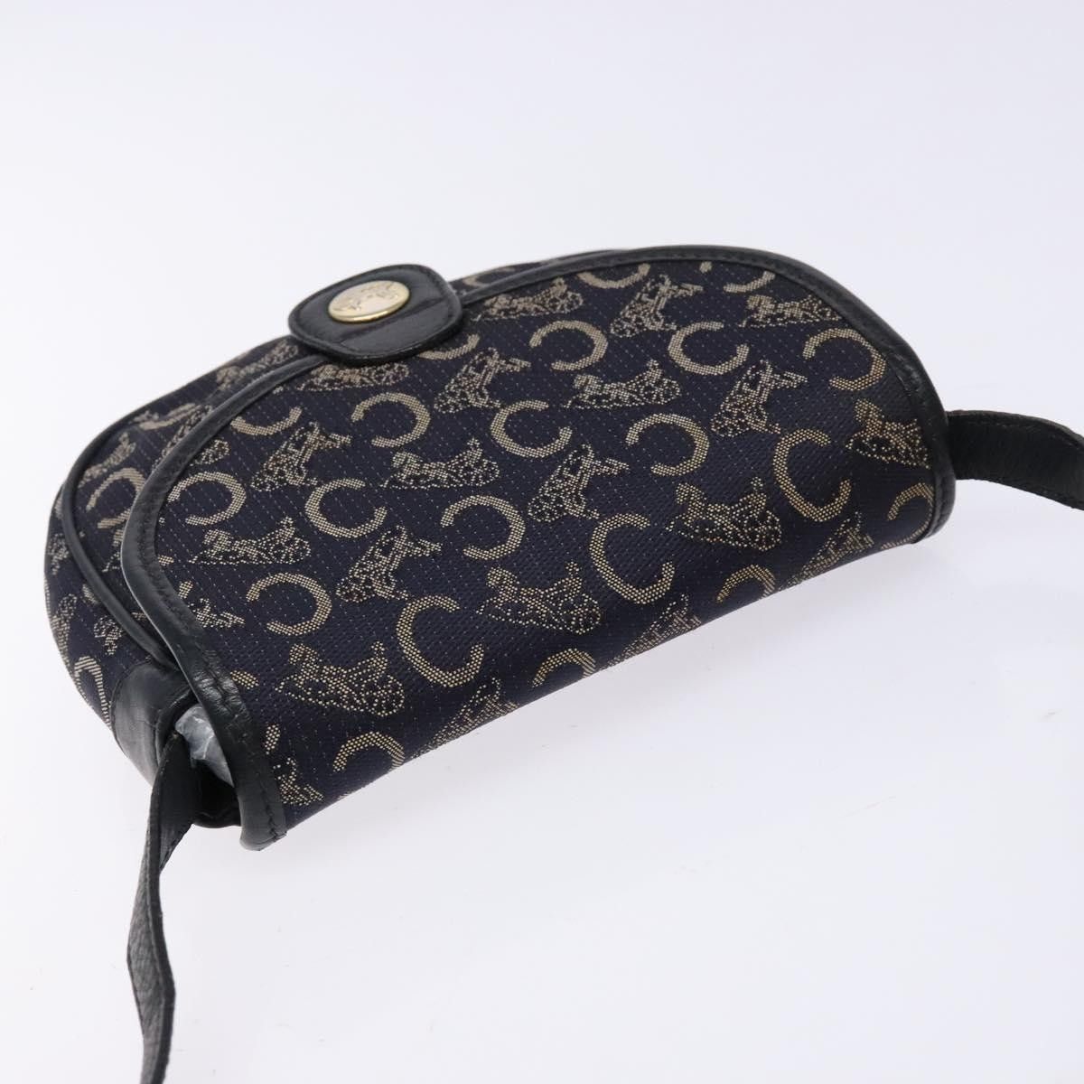 Celine Celine C Sulky Canvas and Leather Size ONE SIZE - 14 Thumbnail
