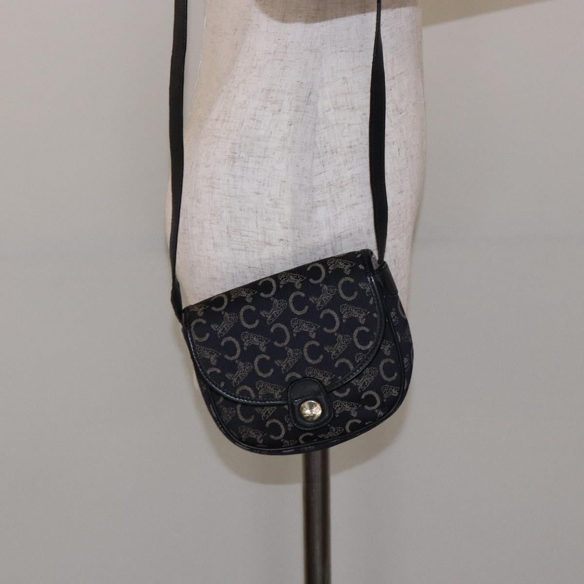 Celine Celine C Sulky Canvas and Leather Size ONE SIZE - 13 Thumbnail