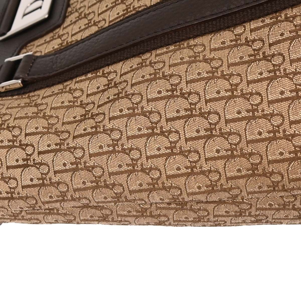 Dior Christian Dior Street Chic Trotter Tote Diorissimo Canvas Size ONE SIZE - 9 Thumbnail