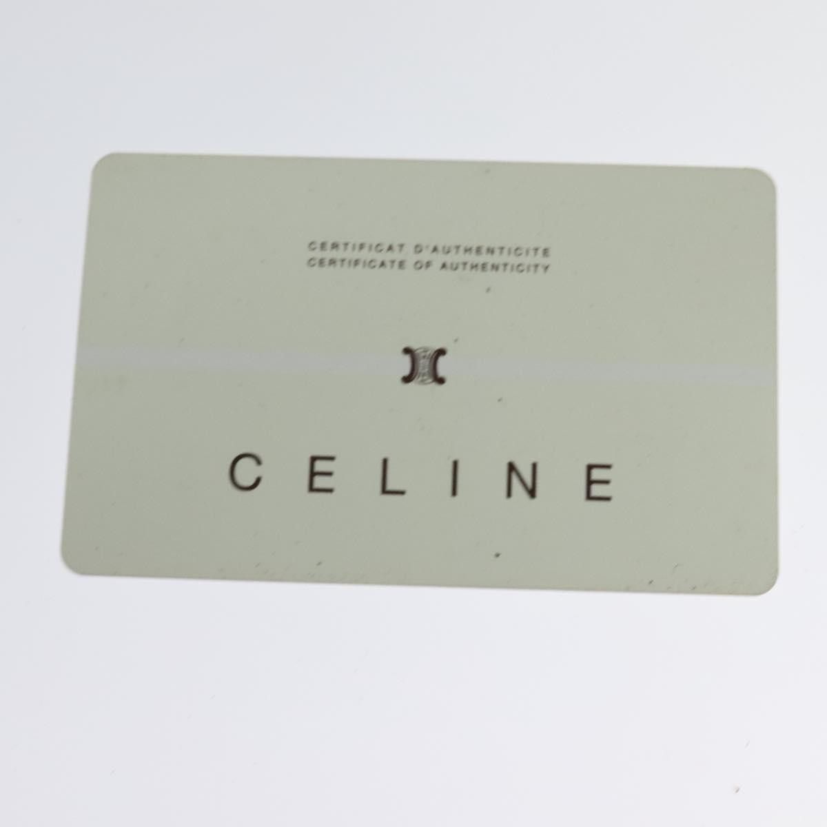 Celine Celine Handbag Leather Size ONE SIZE - 16 Thumbnail