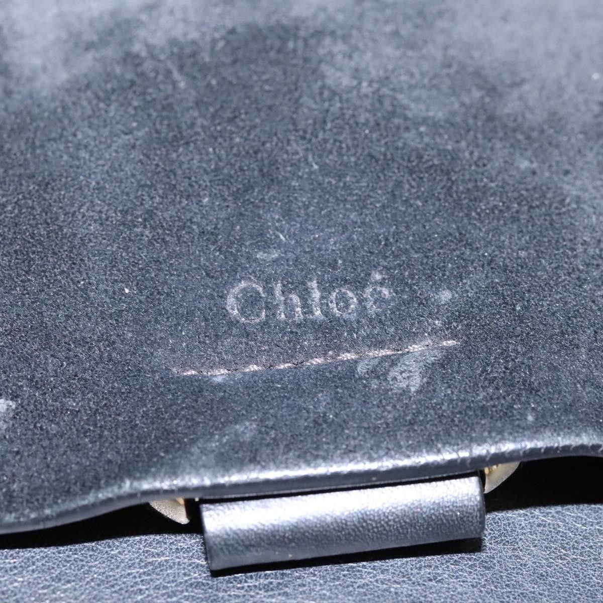 Chloe Chloe Faye Shoulder Bag Leather and Suede Size ONE SIZE - 22 Thumbnail