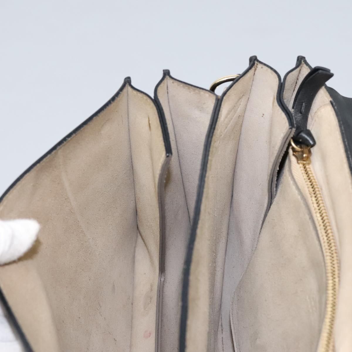 Chloe Chloe Faye Shoulder Bag Leather and Suede Size ONE SIZE - 24 Thumbnail