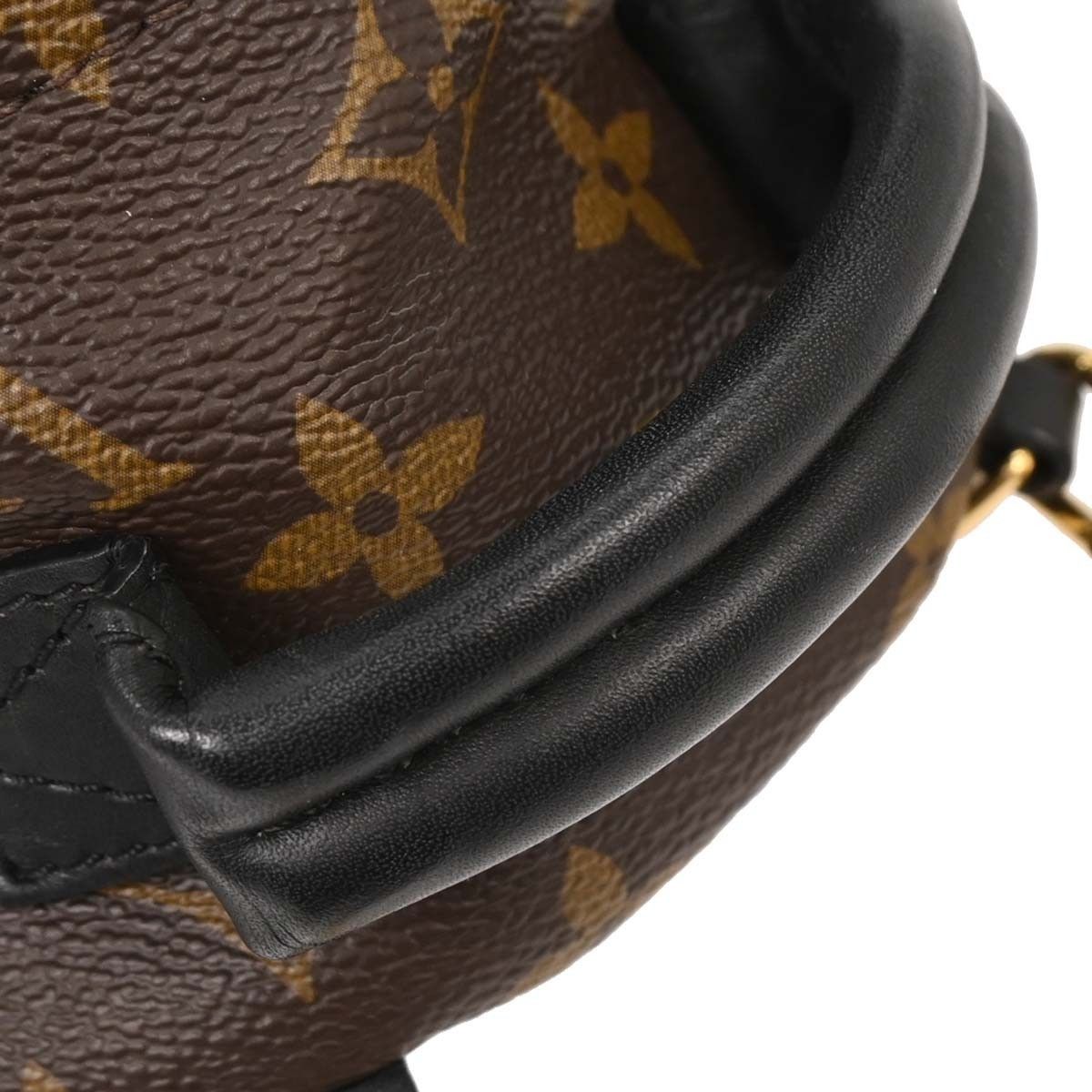 Louis Vuitton Louis Vuitton Palm Springs Backpack Monogram Canvas Size ONE SIZE - 6 Thumbnail