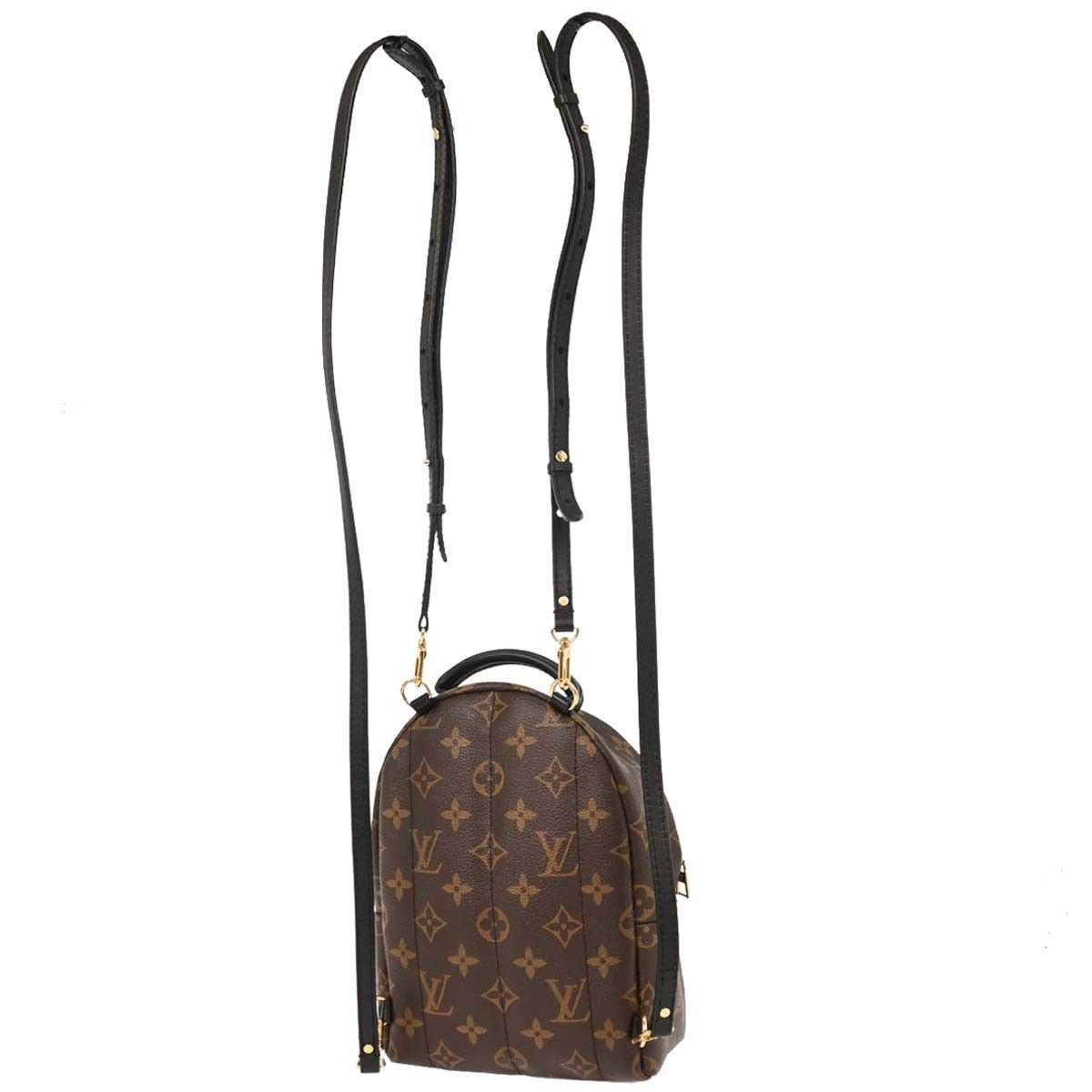 Louis Vuitton Louis Vuitton Palm Springs Backpack Monogram Canvas Size ONE SIZE - 2 Thumbnail