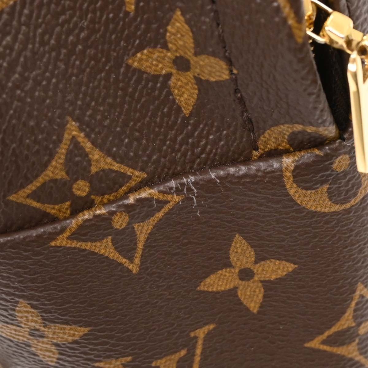 Louis Vuitton Louis Vuitton Palm Springs Backpack Monogram Canvas Size ONE SIZE - 9 Thumbnail