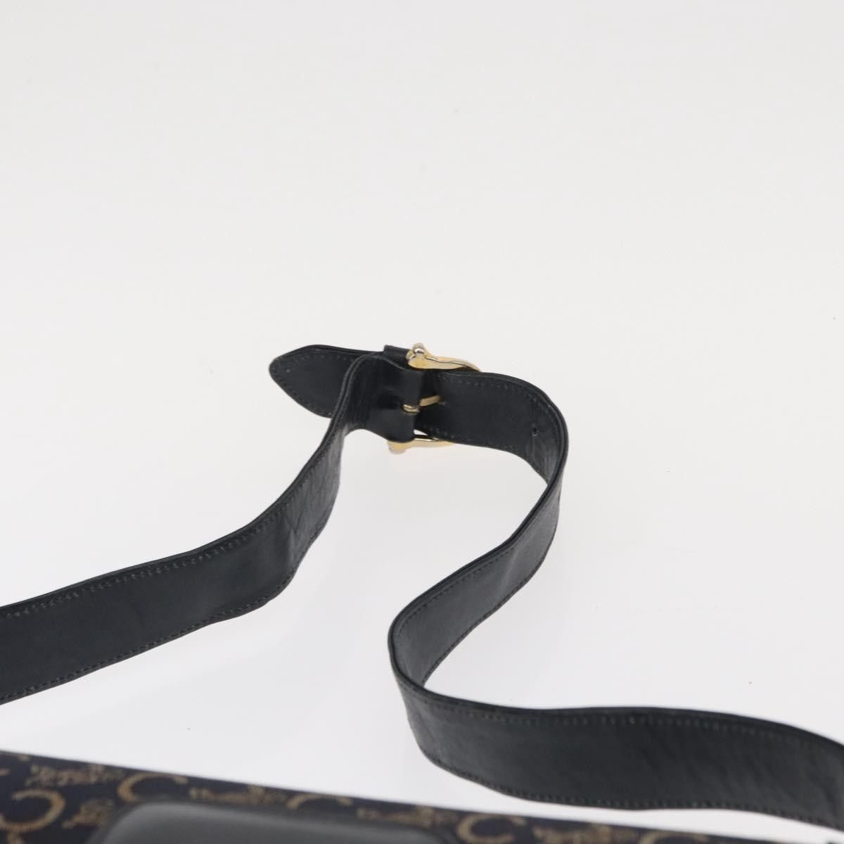 Celine Celine Horse Carriage Shoulder bag Canvas and Leather Size ONE SIZE - 15 Thumbnail