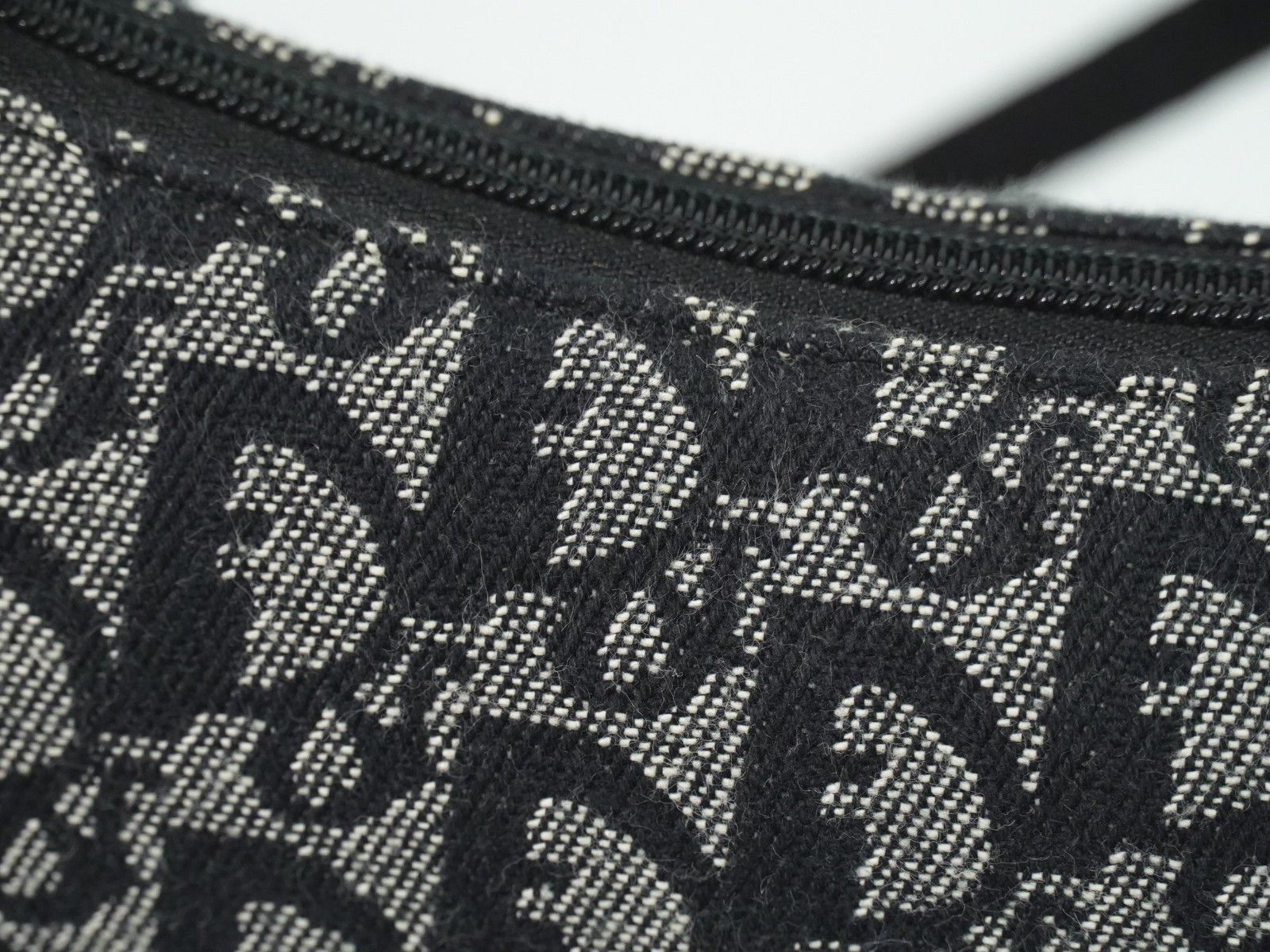 Dior Christian Dior Trotter shoulder bag Canvas Size ONE SIZE - 15 Thumbnail