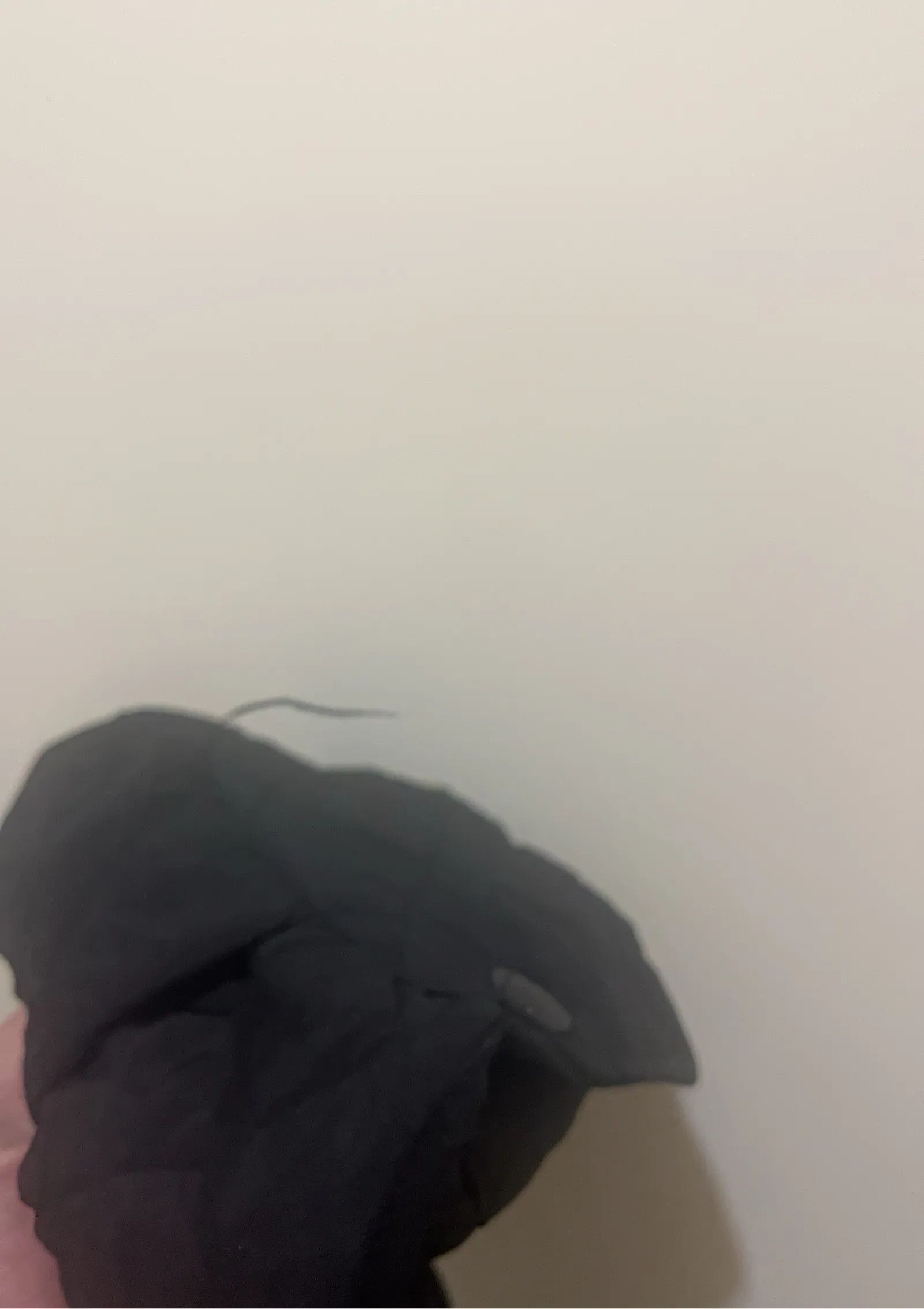 Zara Zara Jacket Size L / US 10 / IT 46 - 4 Thumbnail