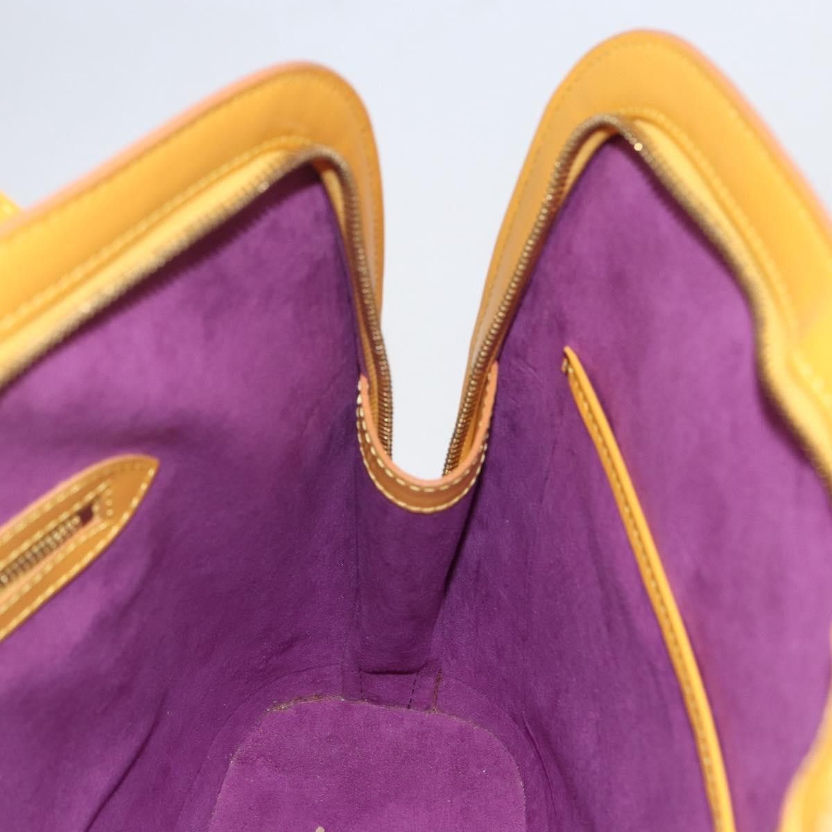 Louis Vuitton Louis Vuitton Lussac Epi Leather Size ONE SIZE - 19 Thumbnail