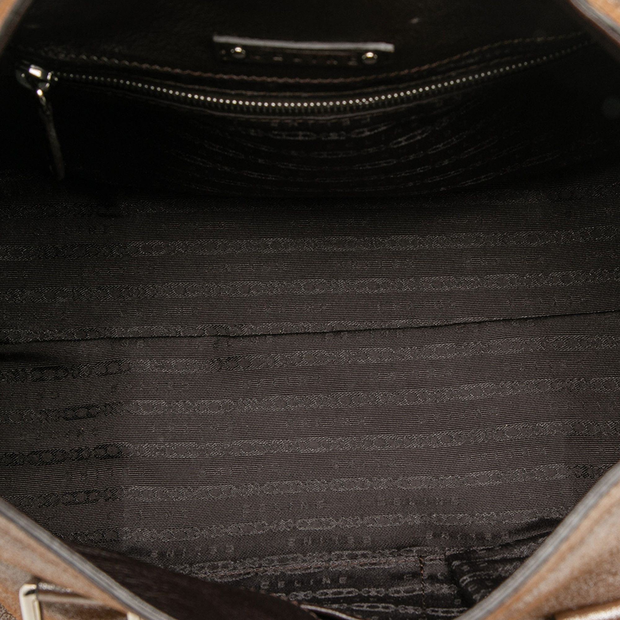 Celine Celine Shimmer Leather Front Flap Shoulder Bag Size ONE SIZE - 4 Thumbnail
