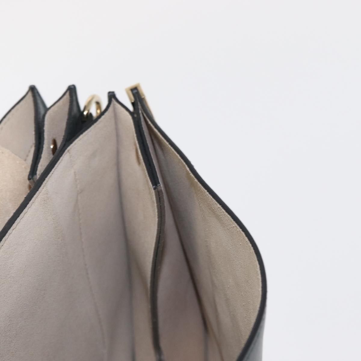 Chloe Chloe Faye Shoulder Bag Leather and Suede Size ONE SIZE - 21 Thumbnail
