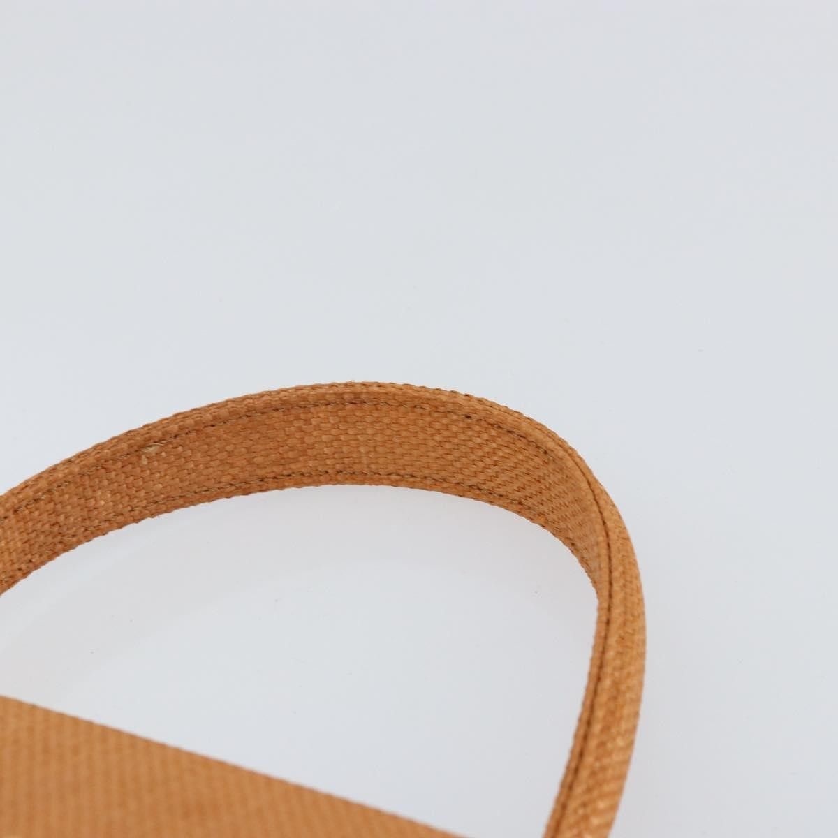 Celine Celine Handbag Raffia Size ONE SIZE - 17 Thumbnail