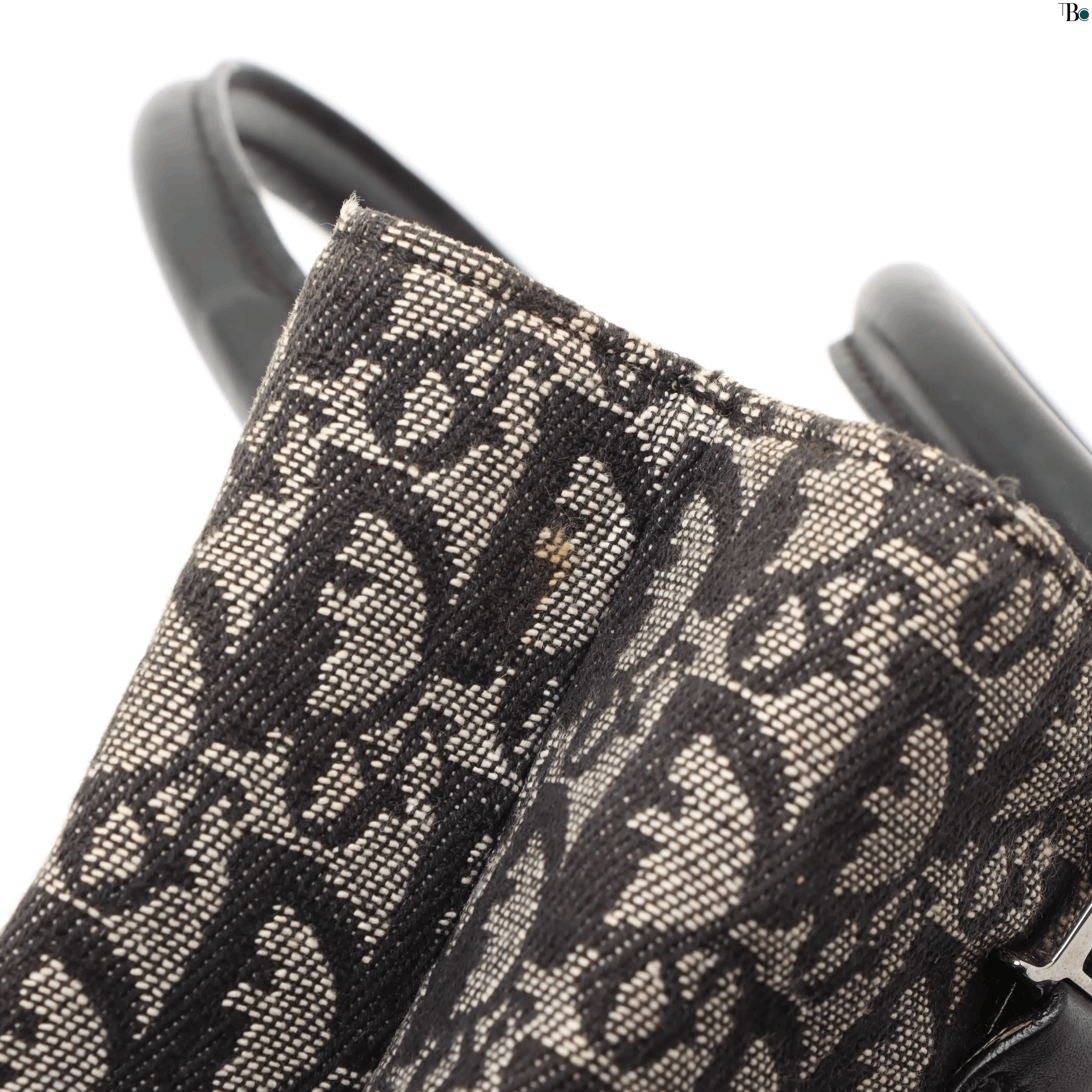 Dior Christian Dior Trotteur Tote Bag Canvas Size ONE SIZE - 7 Thumbnail