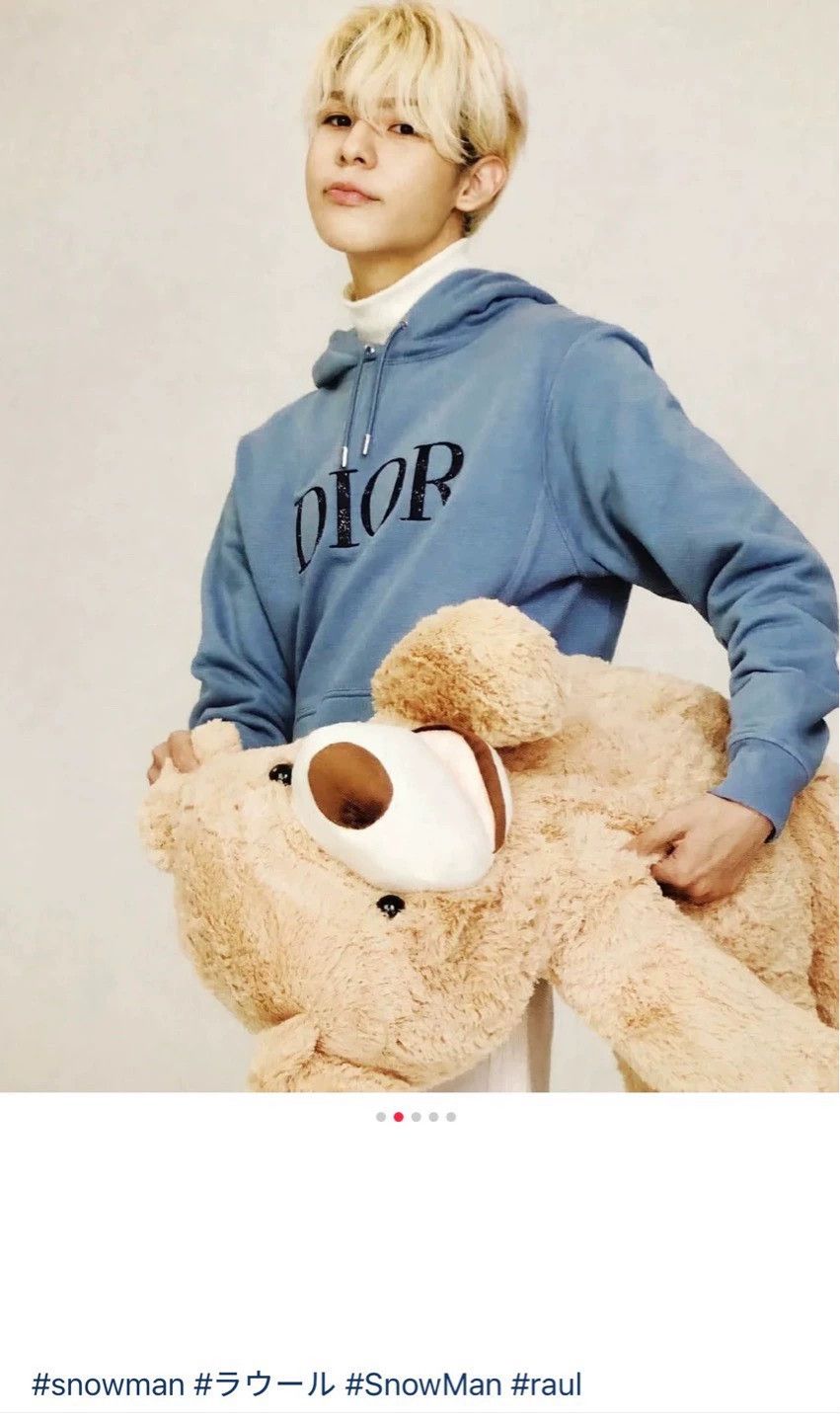 Dior dior x peter doig misty blue hoodie Size US XS / EU 42 / 0 - 9 Thumbnail