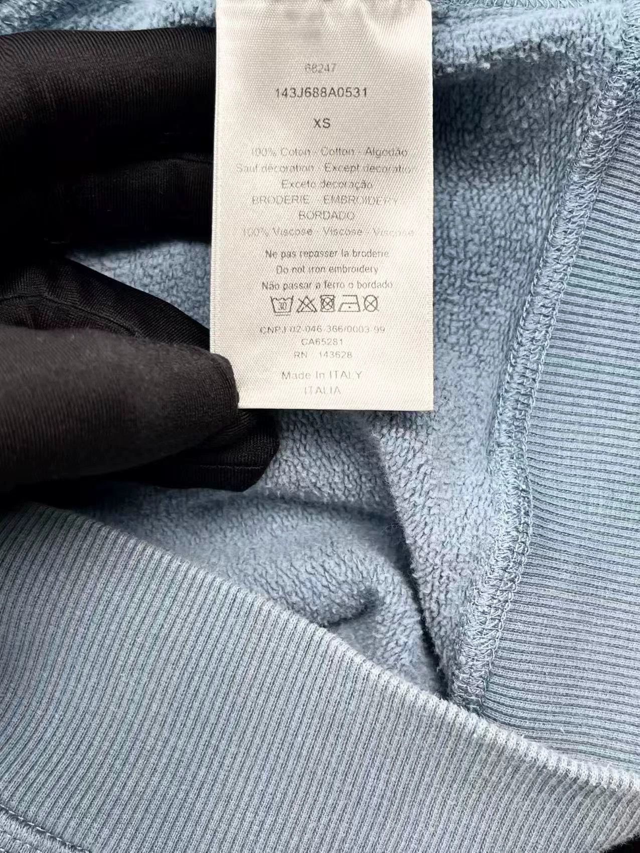 Dior dior x peter doig misty blue hoodie Size US XS / EU 42 / 0 - 6 Thumbnail