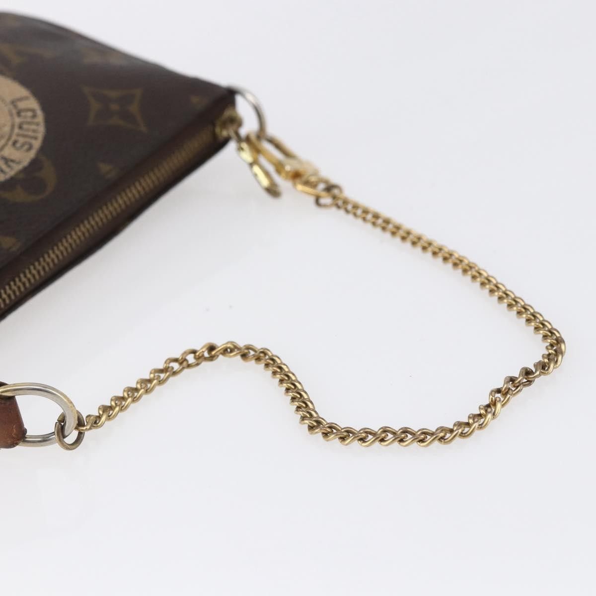 Louis Vuitton Louis Vuitton Pochette Accessoires Limited Edition Monogram Canvas Size ONE SIZE - 8 Thumbnail