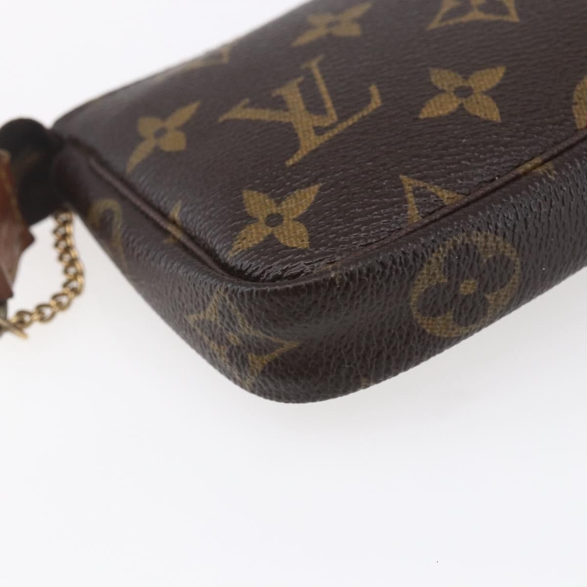 Louis Vuitton Louis Vuitton Pochette Accessoires Limited Edition Monogram Canvas Size ONE SIZE - 12 Thumbnail