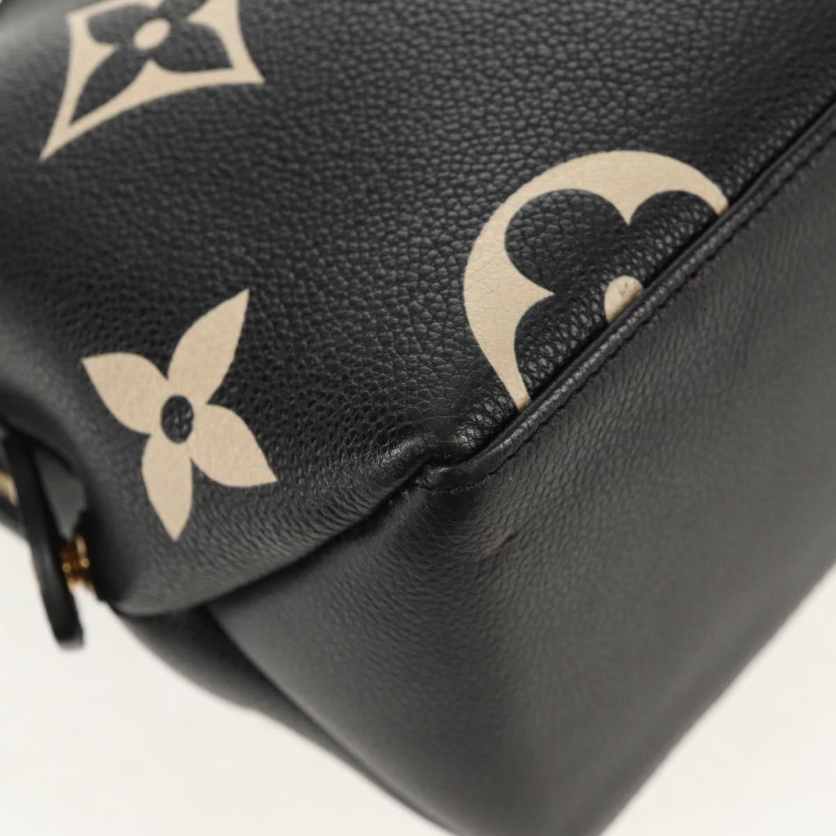 Louis Vuitton Louis Vuitton Petit Palais Handbag Bicolor Monogram Empreinte Giant Size ONE SIZE - 10 Thumbnail