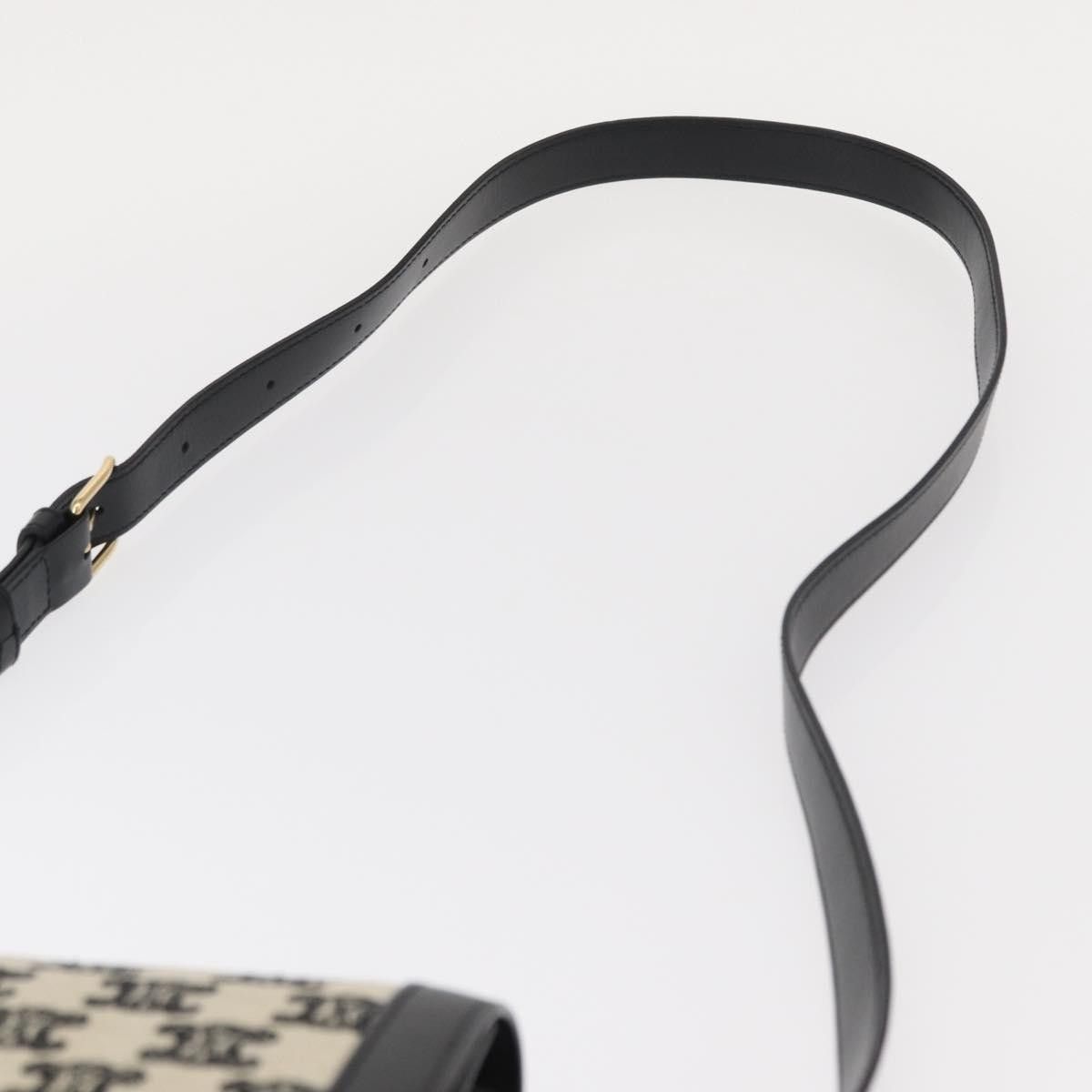 Celine Celine Triomphe Shoulder Bag Canvas with Leather Size ONE SIZE - 13 Thumbnail