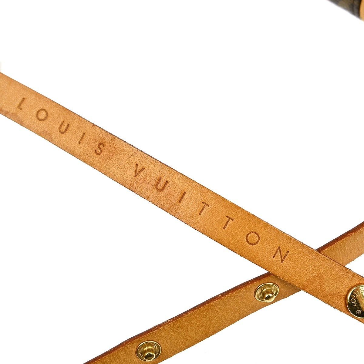 Louis Vuitton Louis Vuitton Florentine Waist Bag Monogram Canvas Size ONE SIZE - 4 Thumbnail